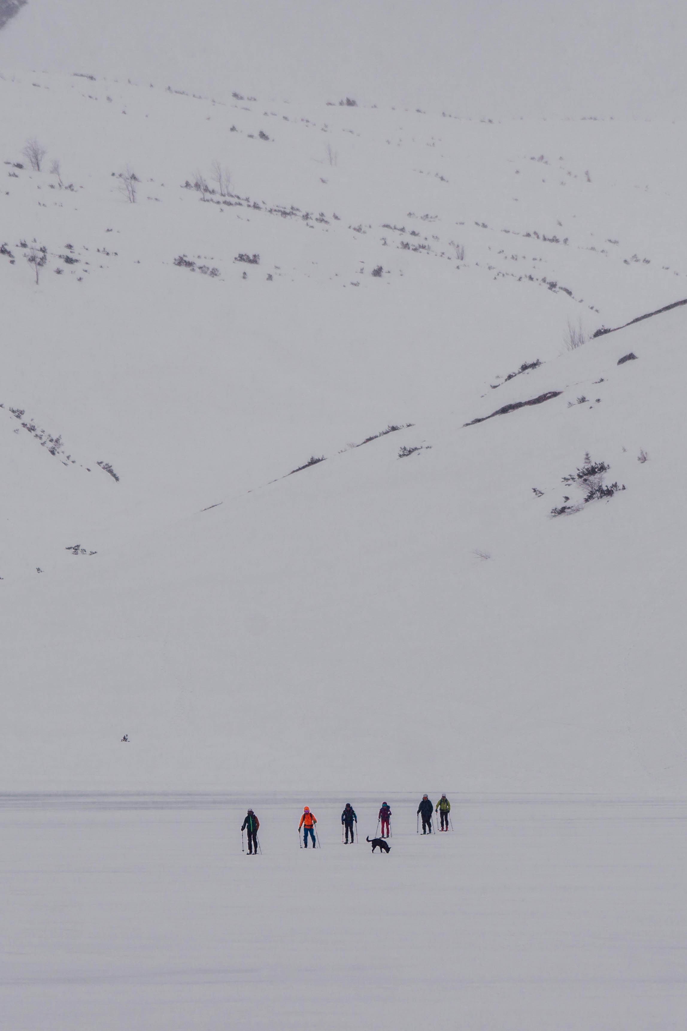 雪原を歩く人々のグループ