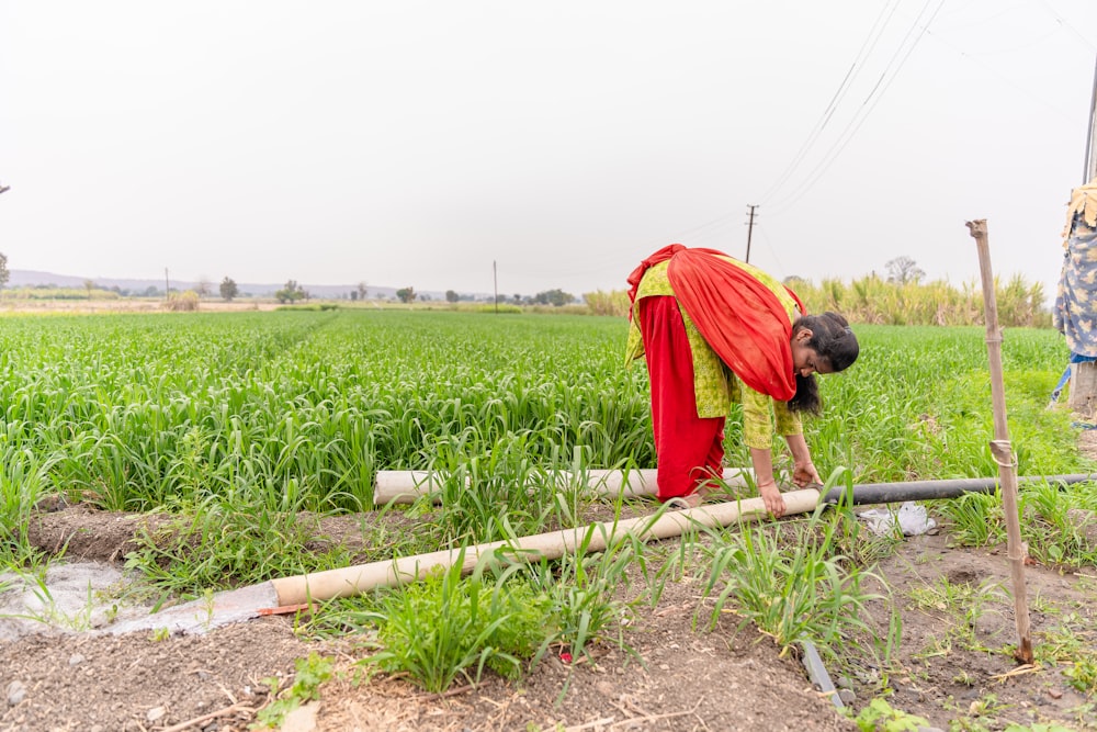 a woman in a red and yellow dress is working in a field