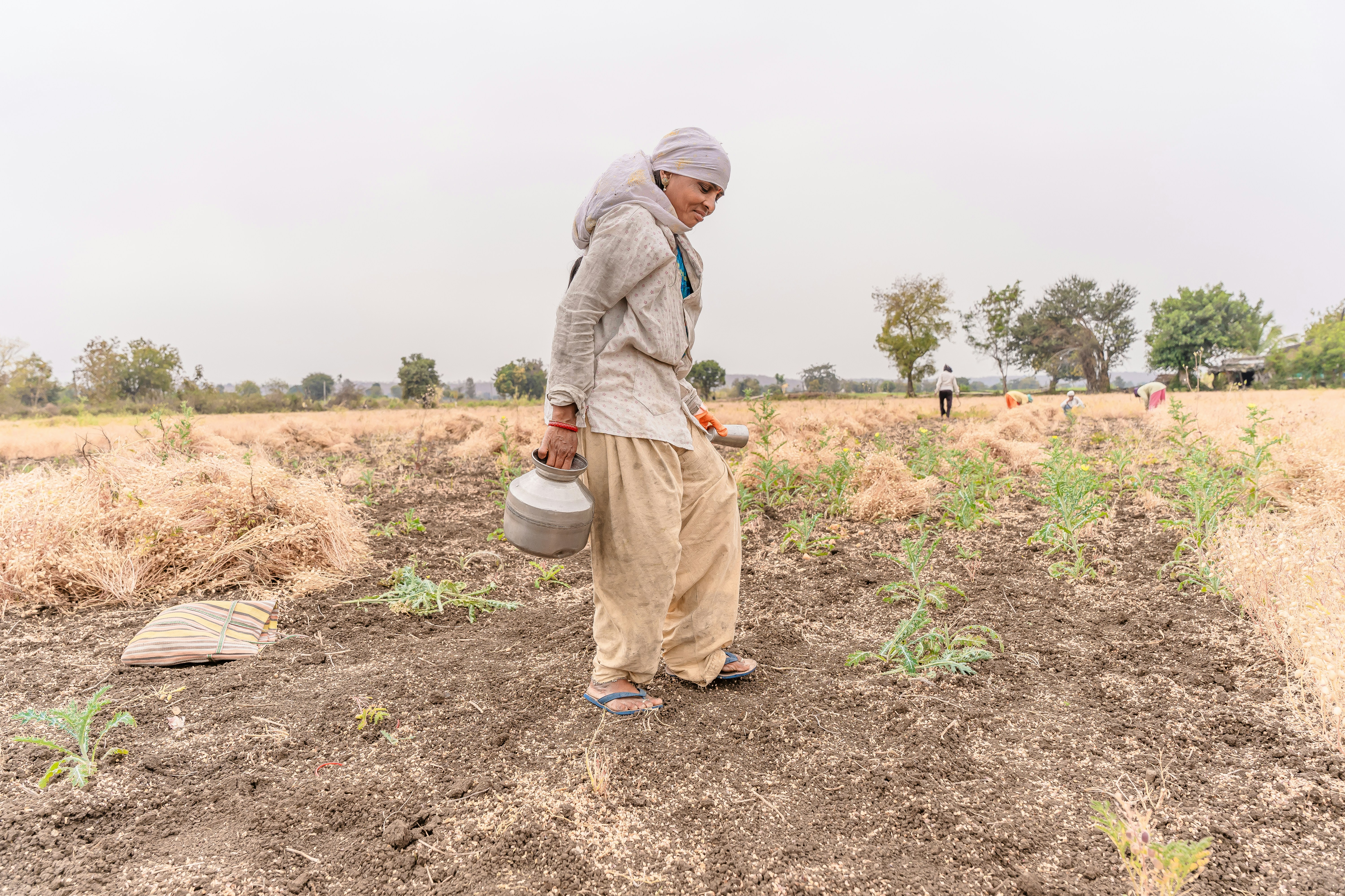 Купити мікродобриво Україна