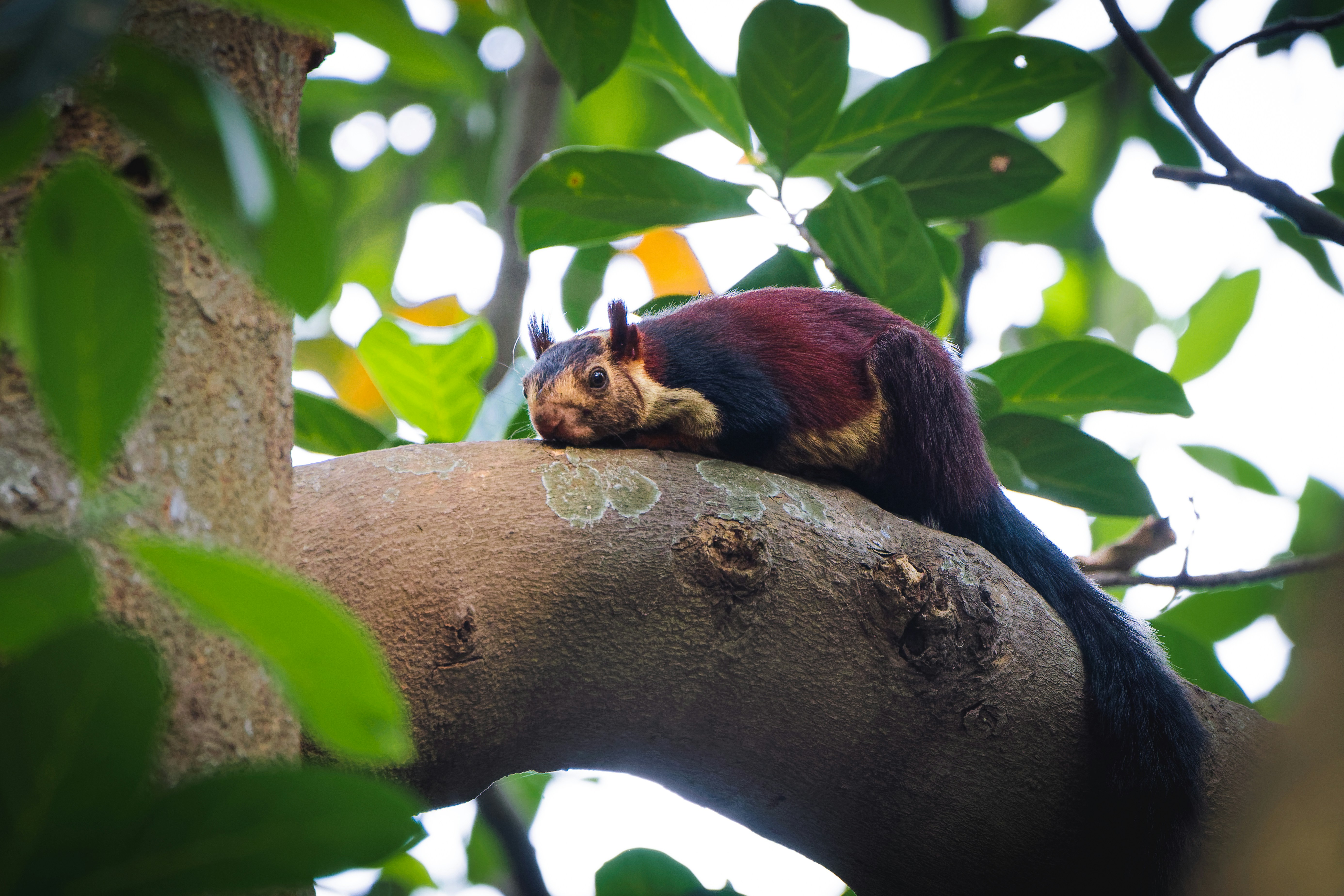 Discover the Beauty of Responsible Travel