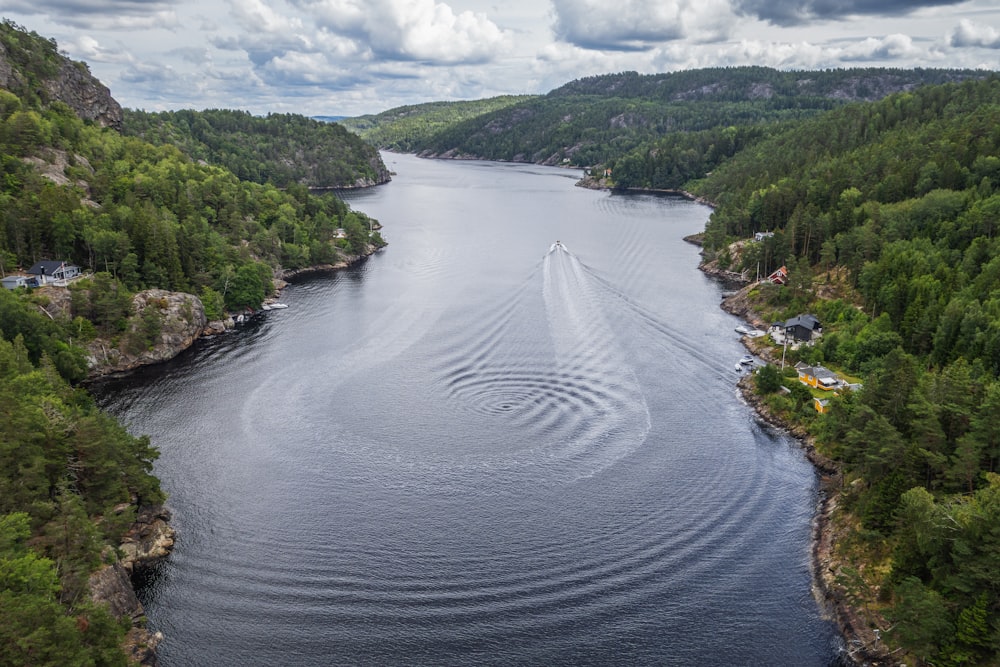 a large body of water surrounded by trees