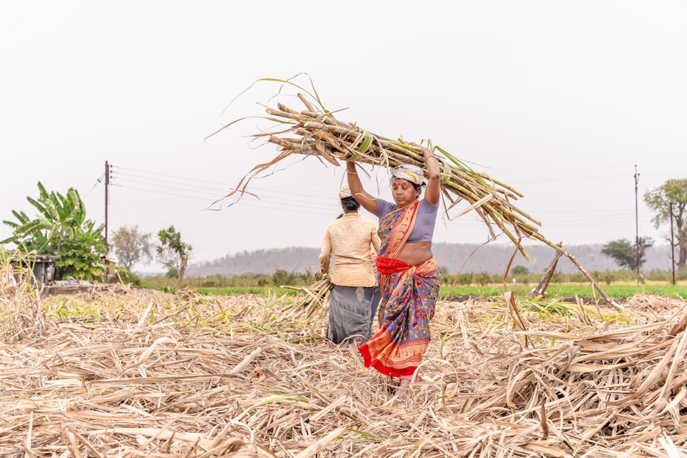 a woman carrying a bundle of sticks in a field