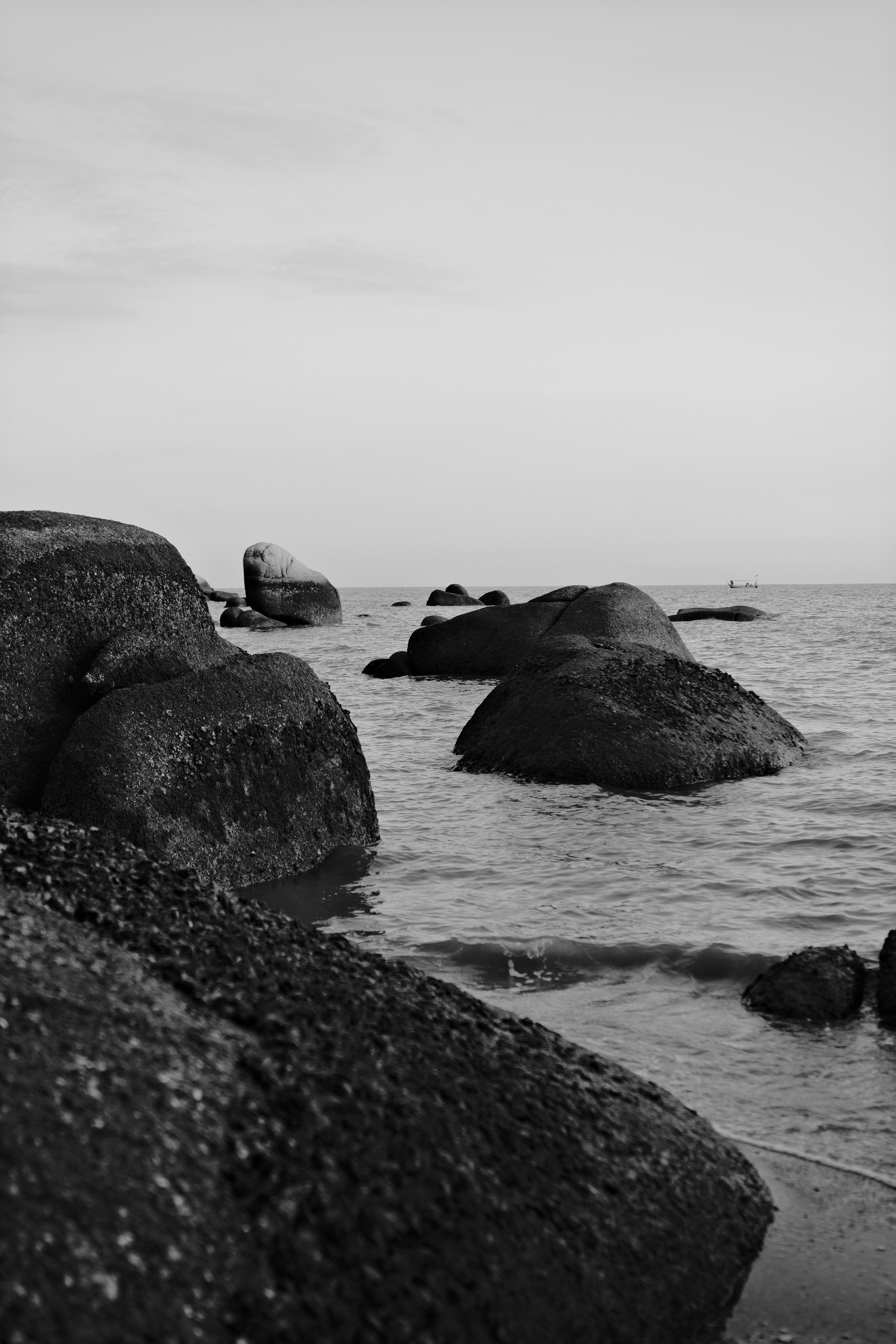 Photo by yokonoito0512