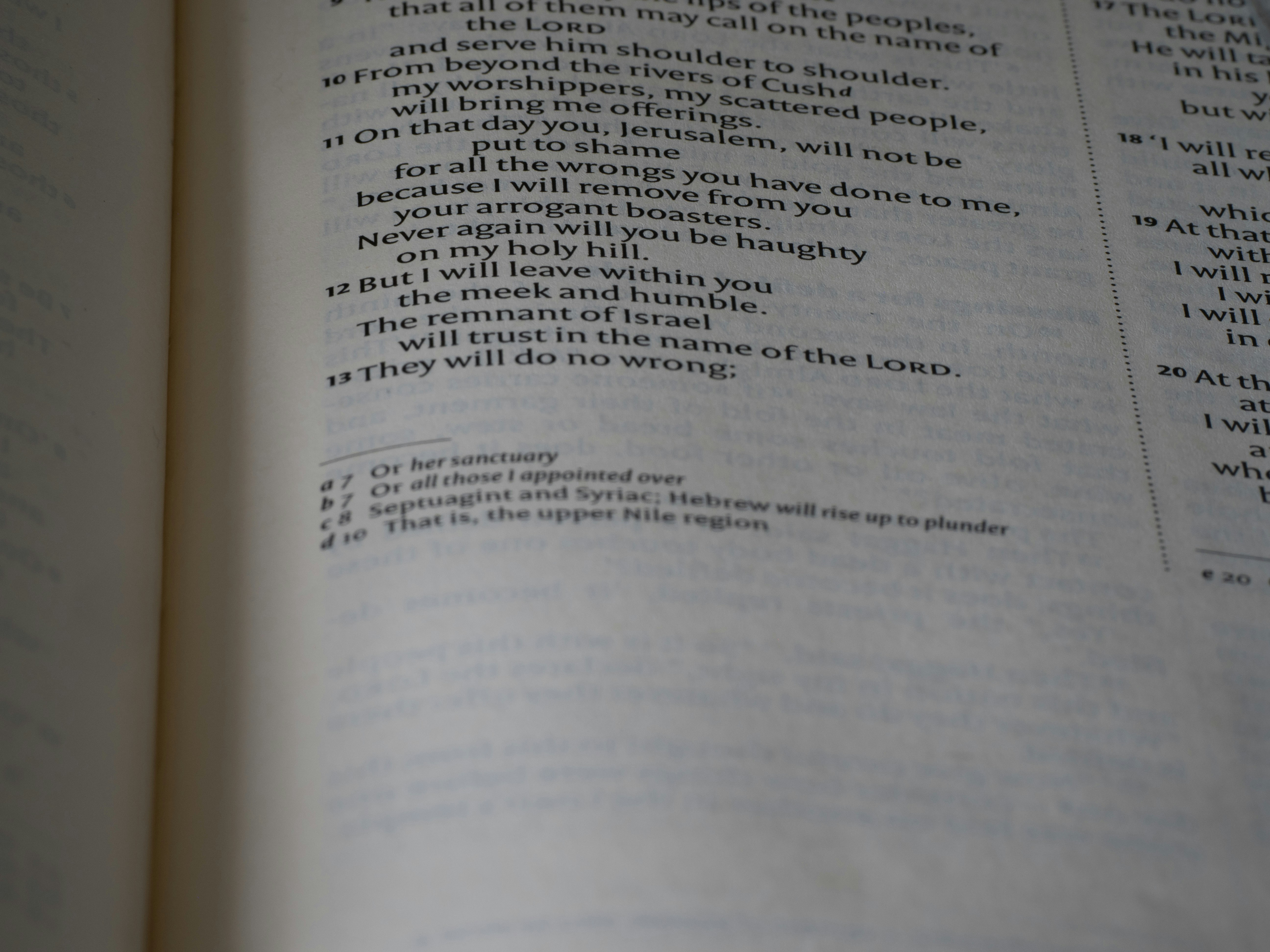 close up, bokeh, macro, blur, blurred background, close focus, bible, old testament, hebrew bible, christian, judaism, history, text, reading, bible study, devotions, New International Version, type, typography, canon, christianity, scripture, old testament, hebrew bible, minor prophet, Zephaniah,