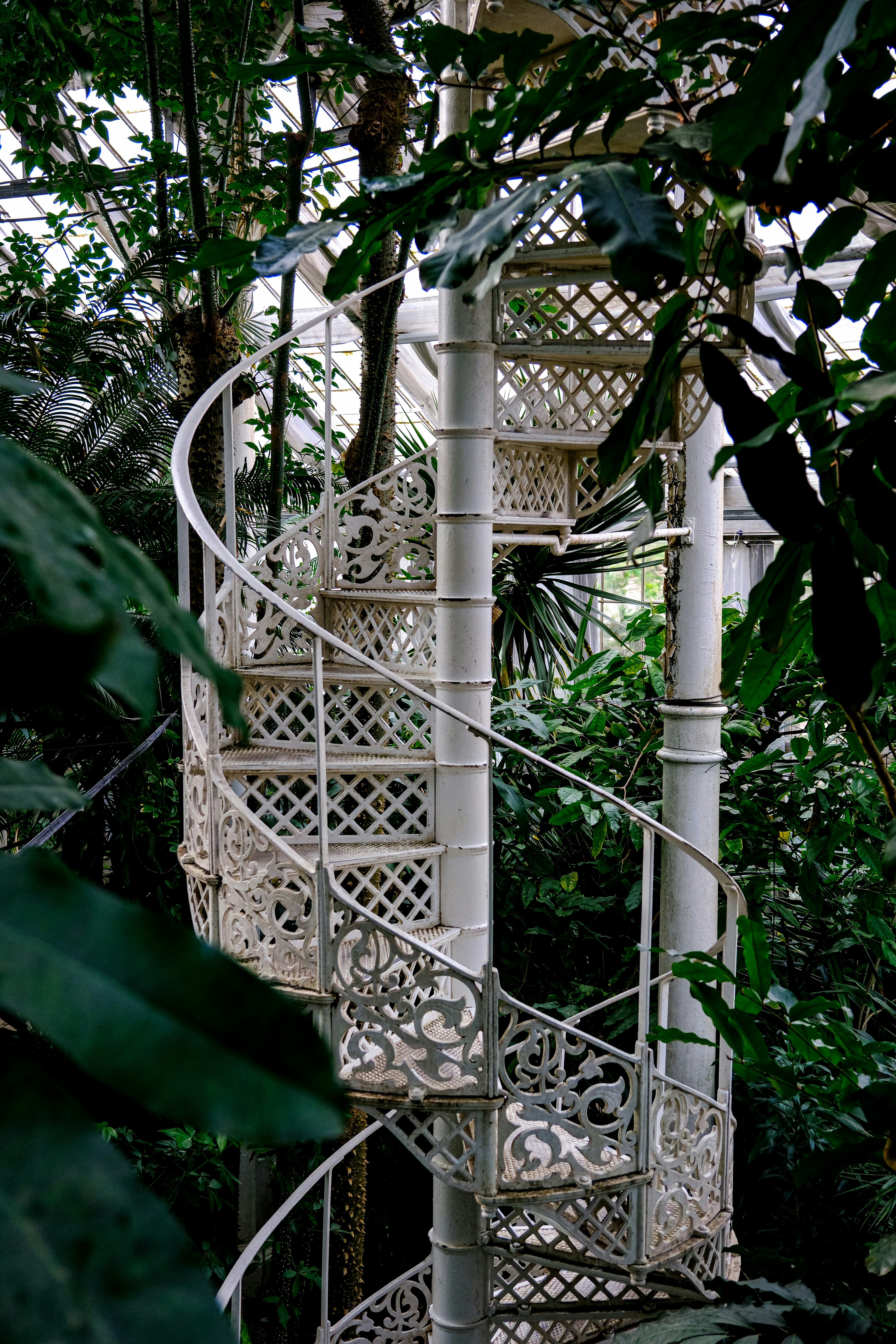 Photo by cestmoisheedy