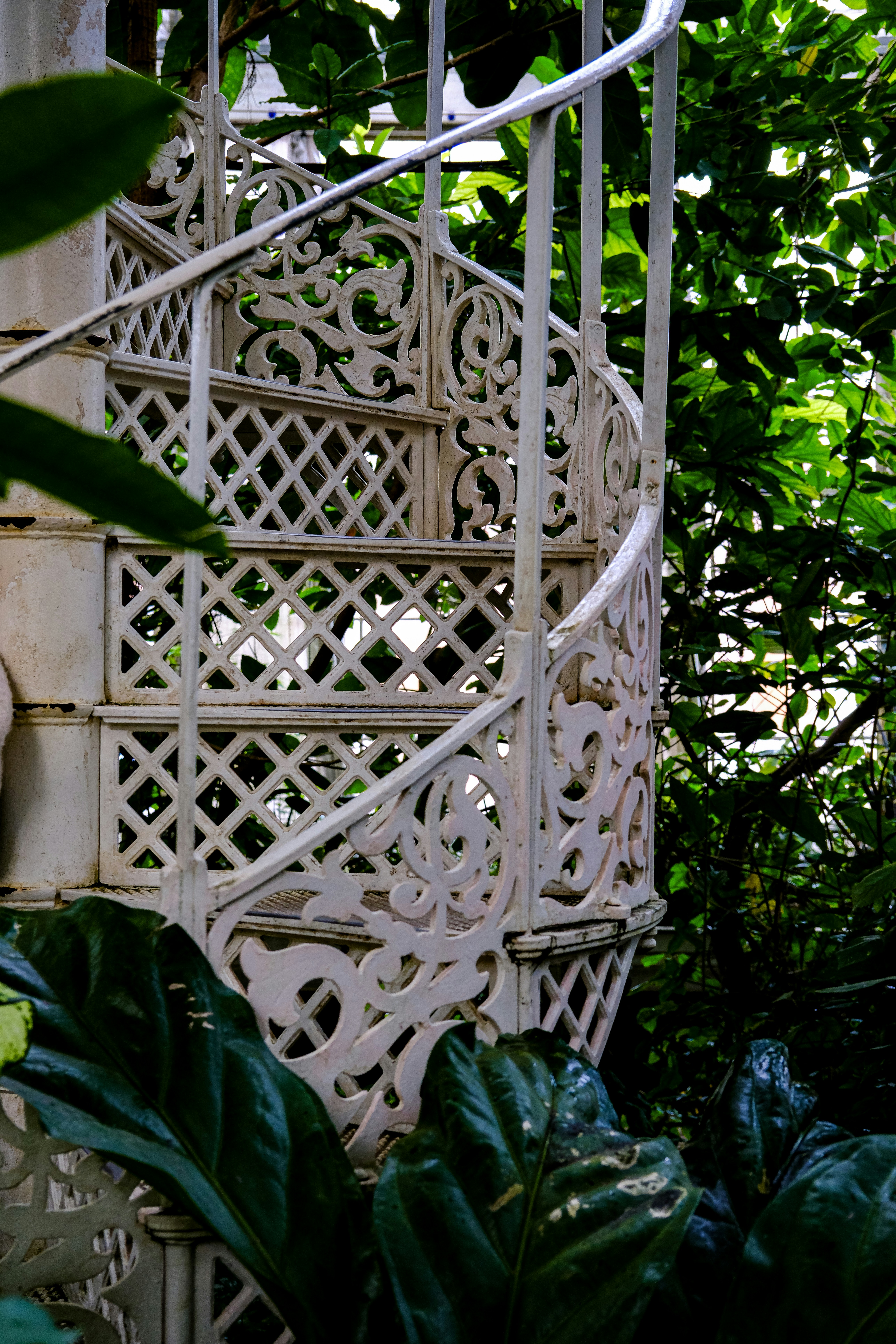 Photo by cestmoisheedy