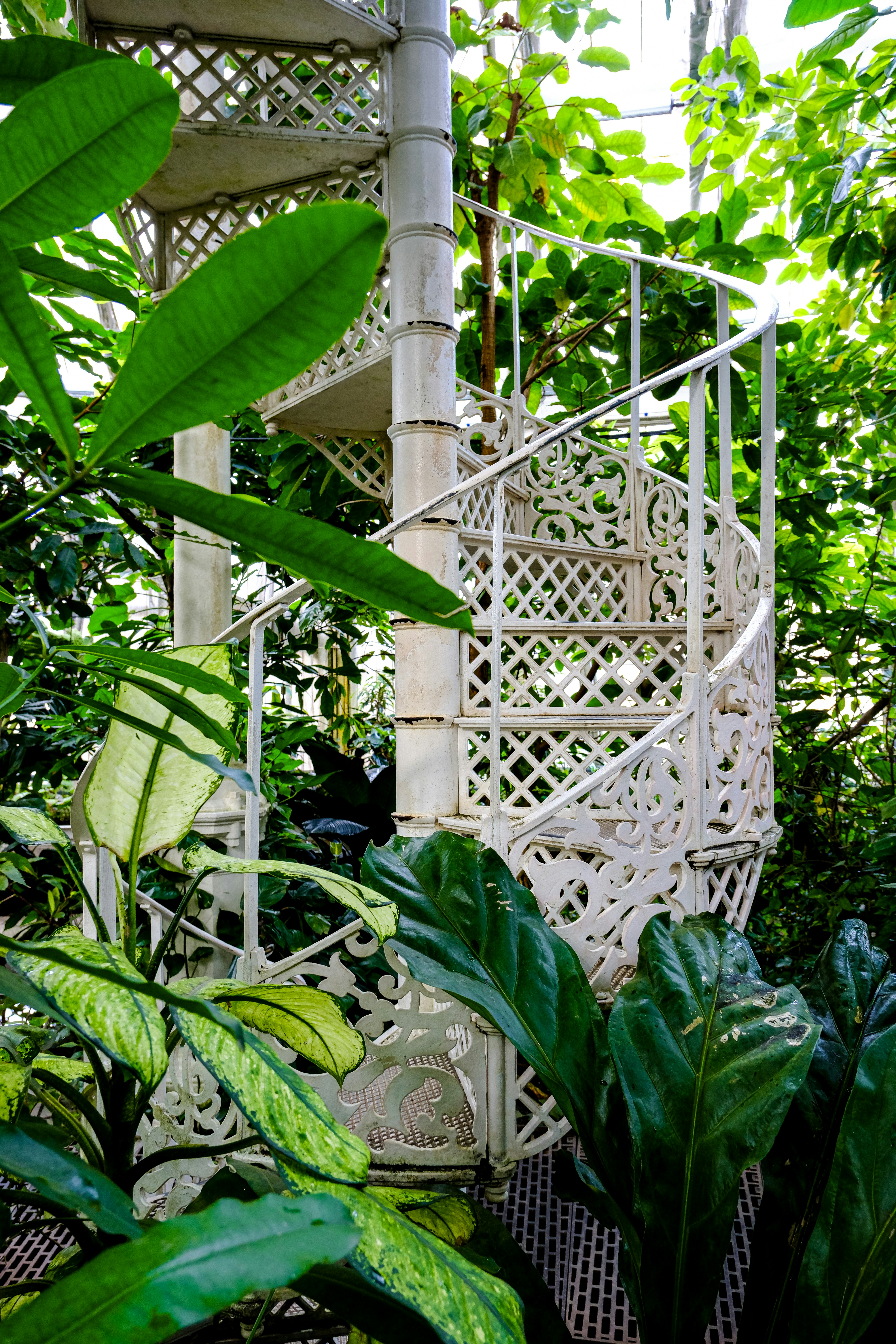 Photo by cestmoisheedy