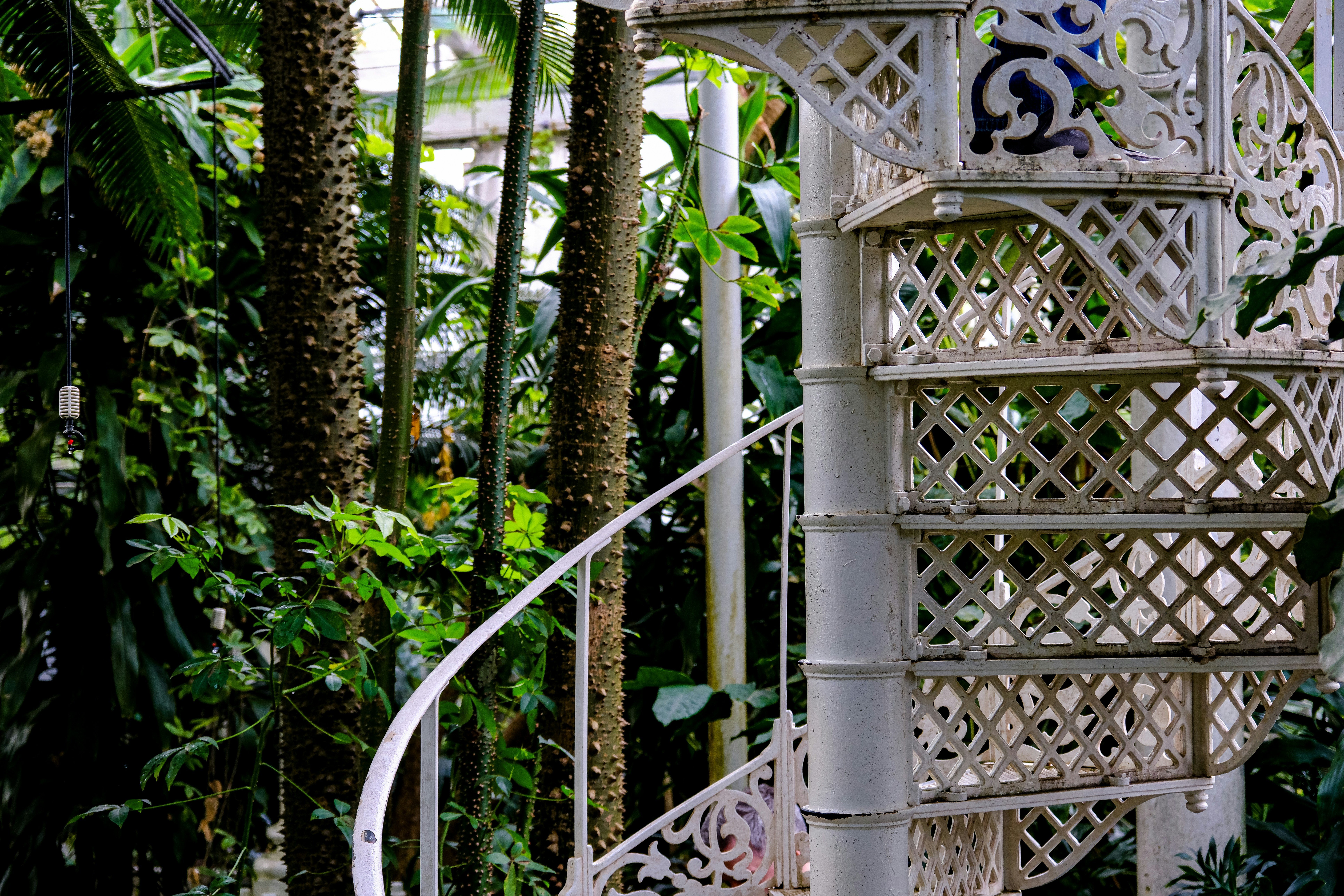 Photo by cestmoisheedy