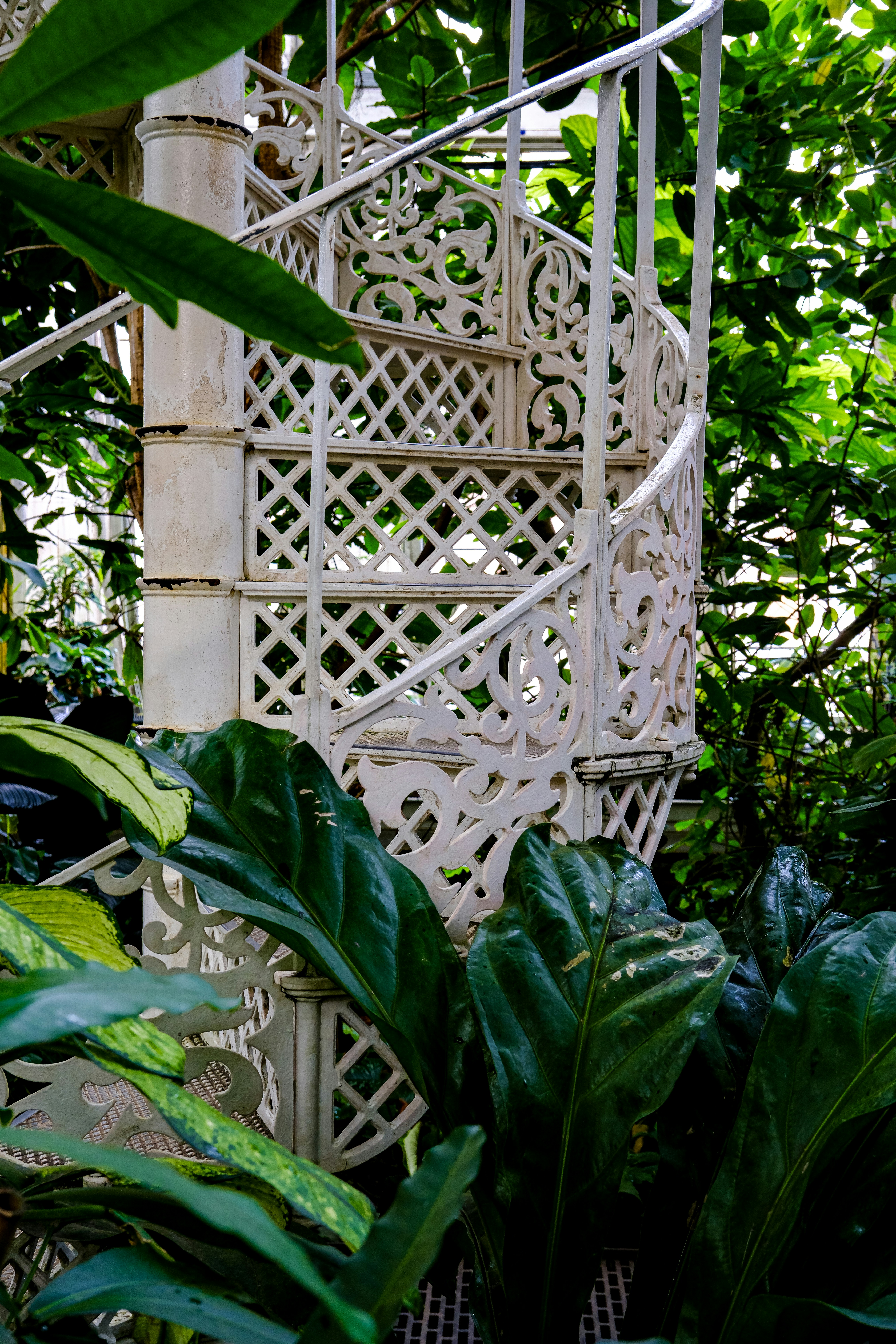 Photo by cestmoisheedy