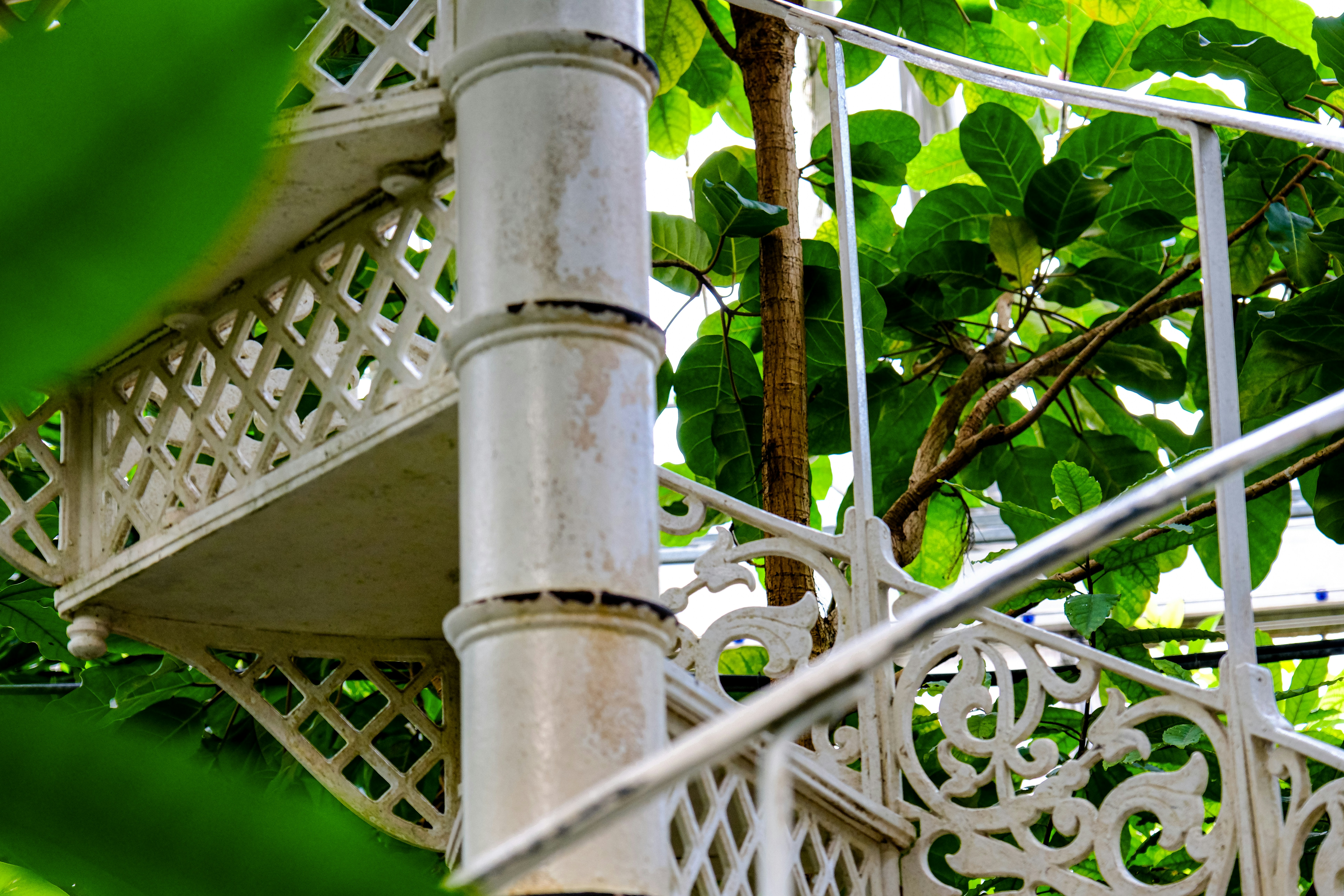 Photo by cestmoisheedy