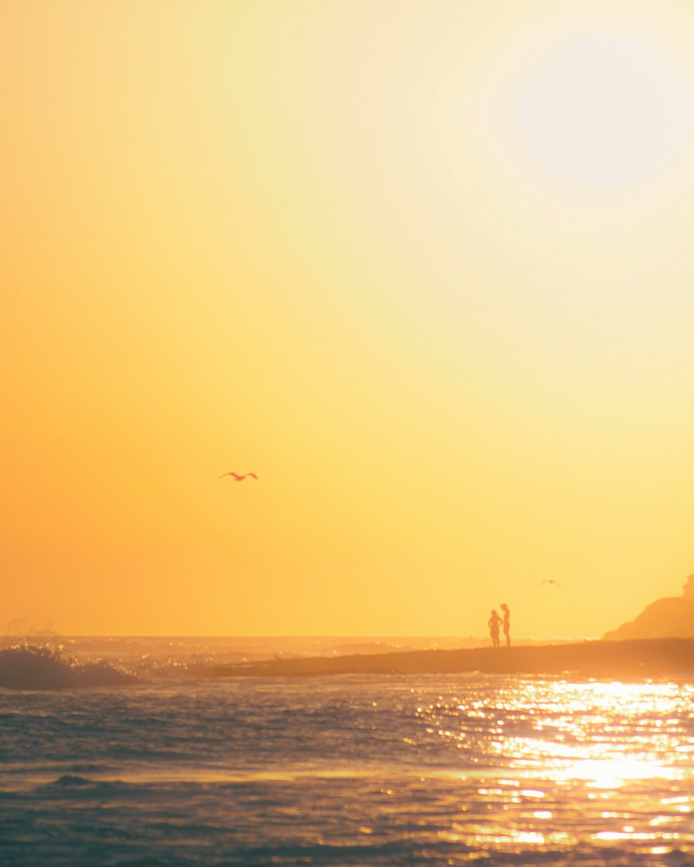 a couple of birds flying over the ocean at sunset