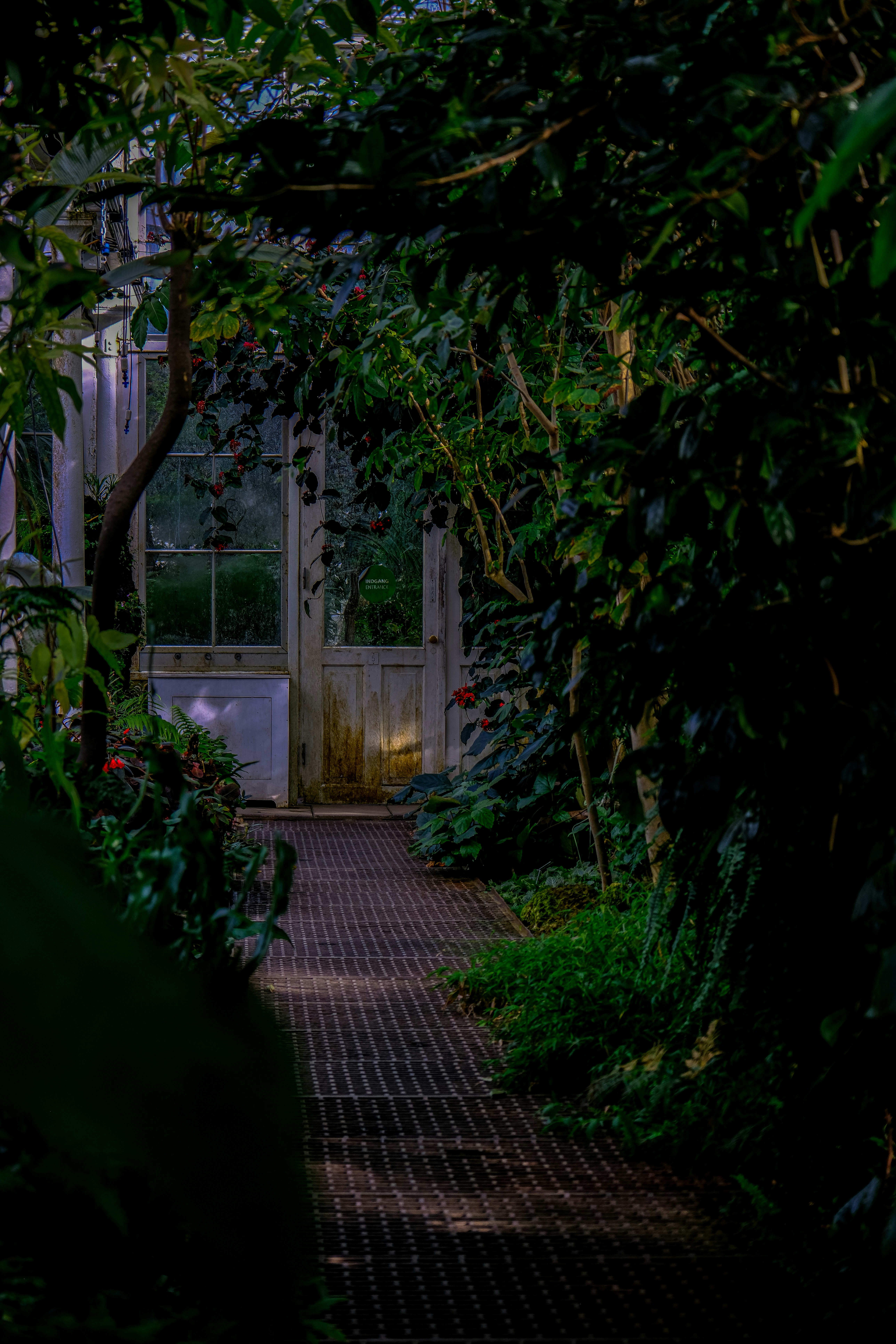 Photo by cestmoisheedy