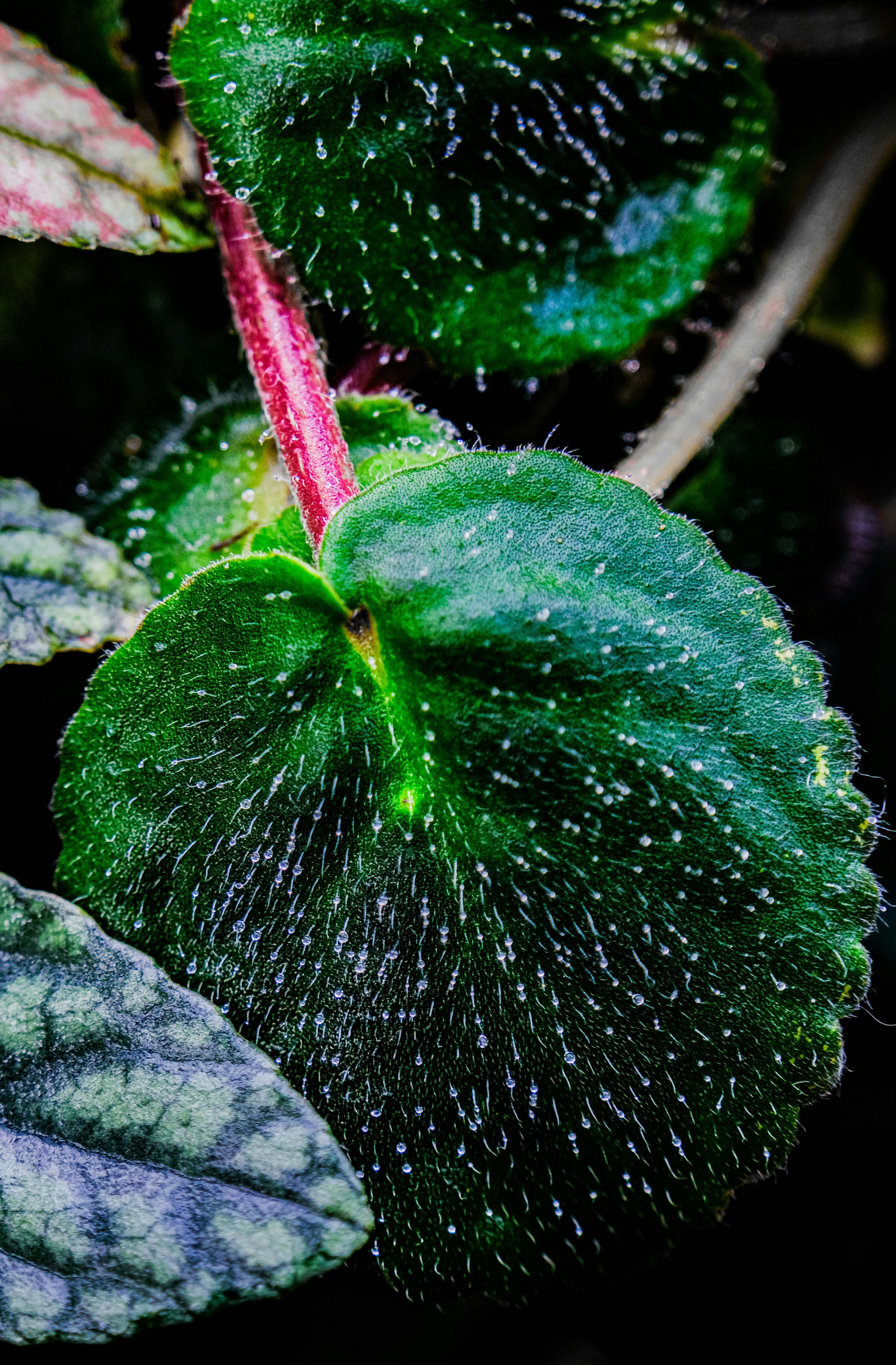 Photo by cestmoisheedy