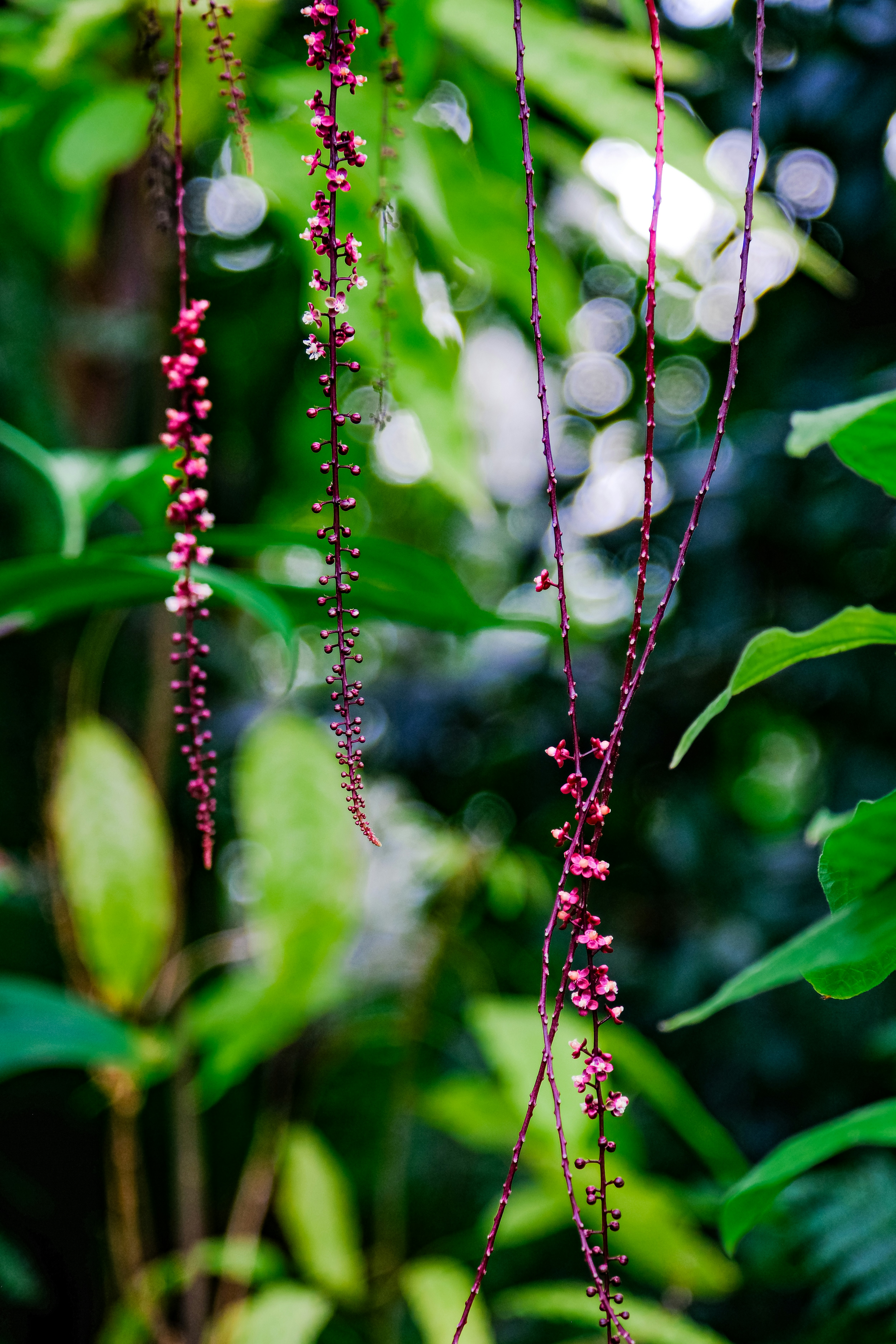 Photo by cestmoisheedy