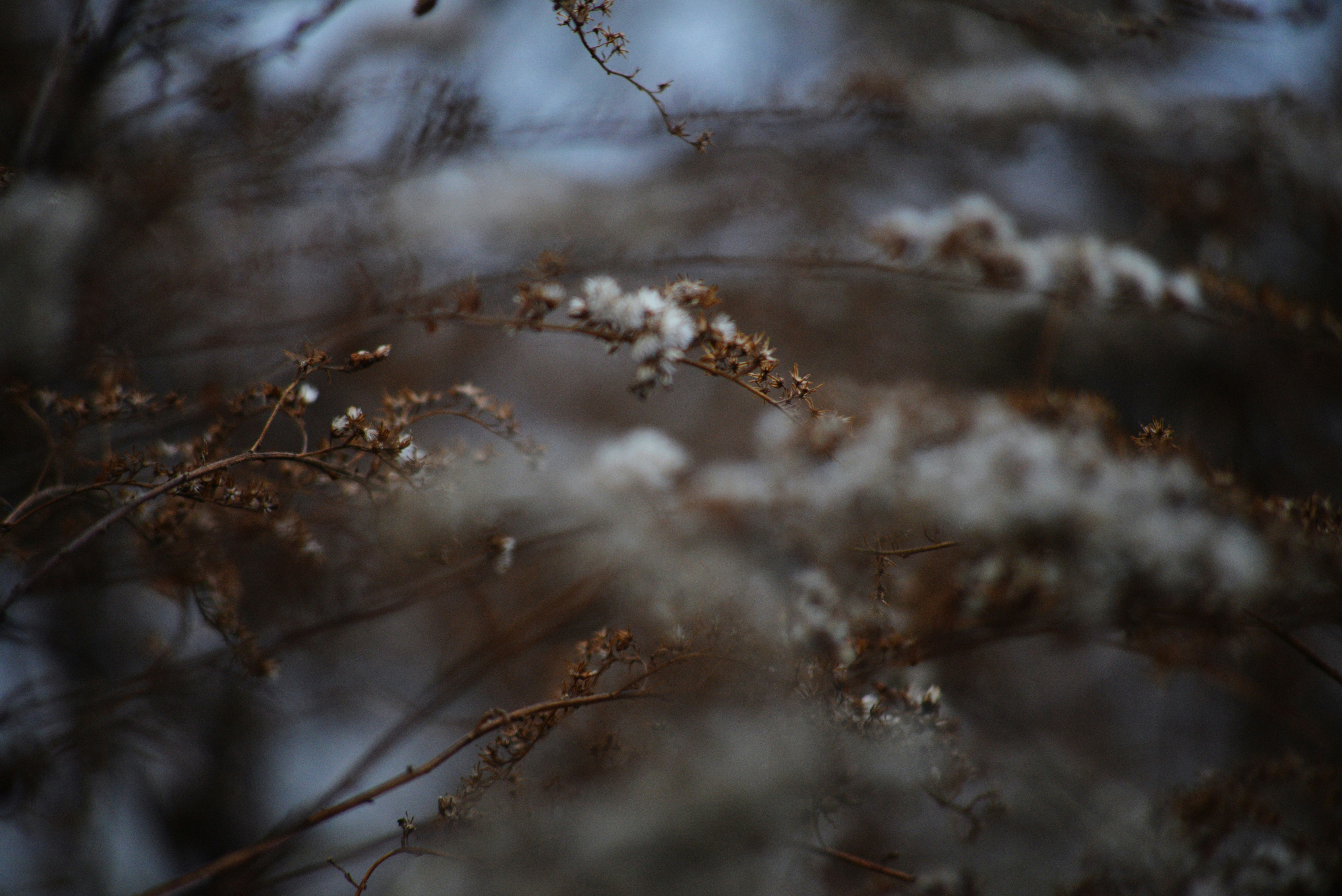 Photo by cherstve_pechivo