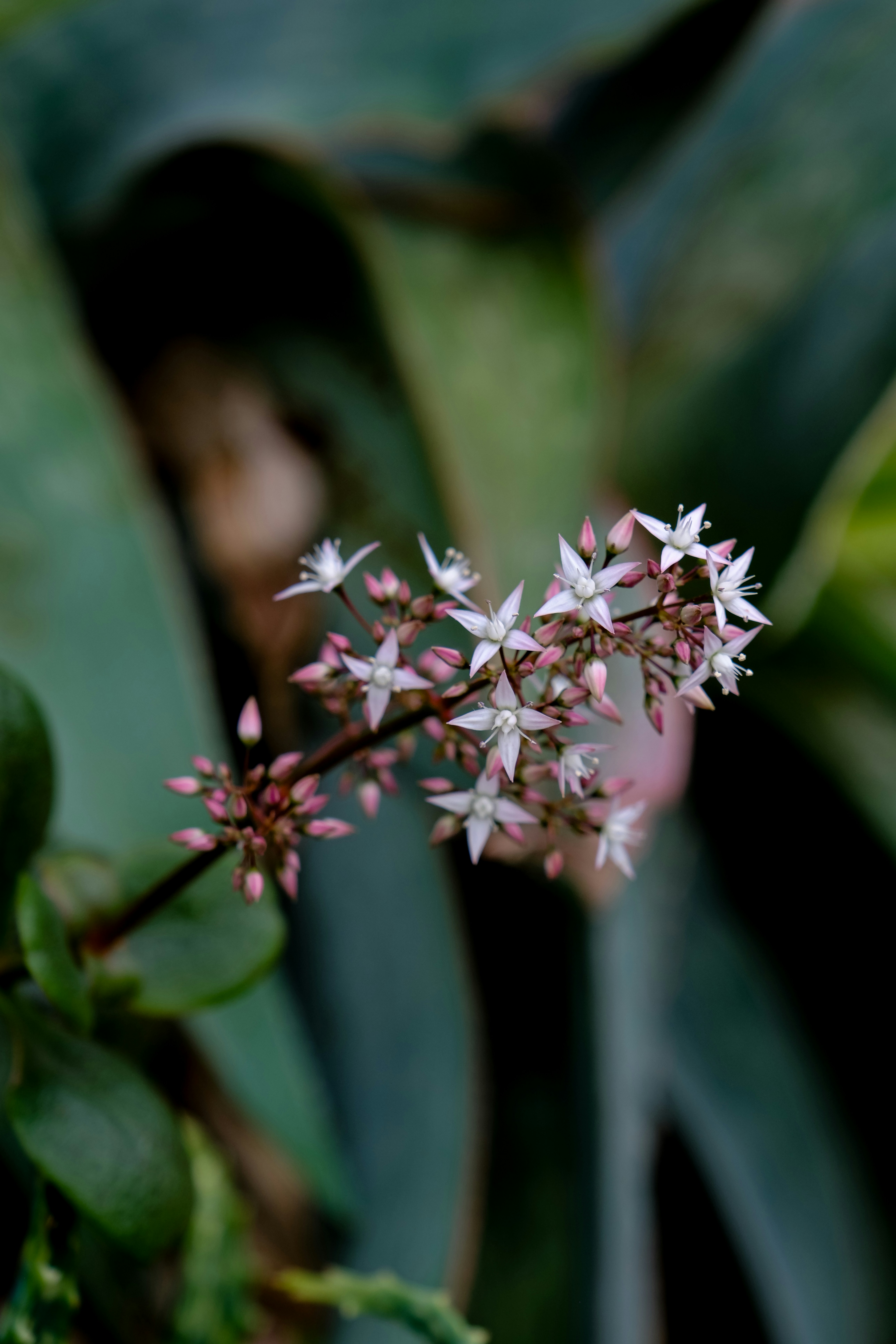 Photo by cestmoisheedy