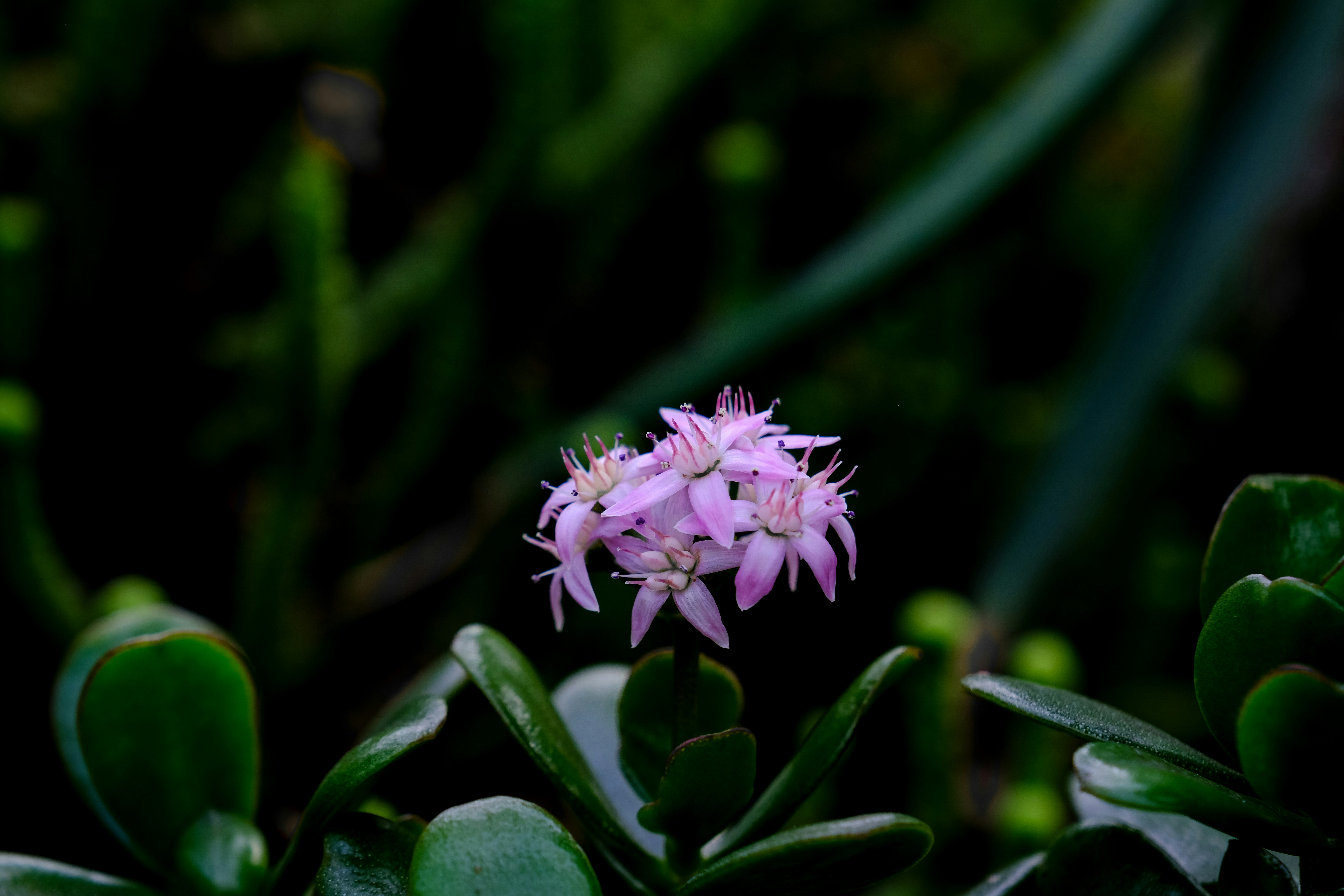 Photo by cestmoisheedy