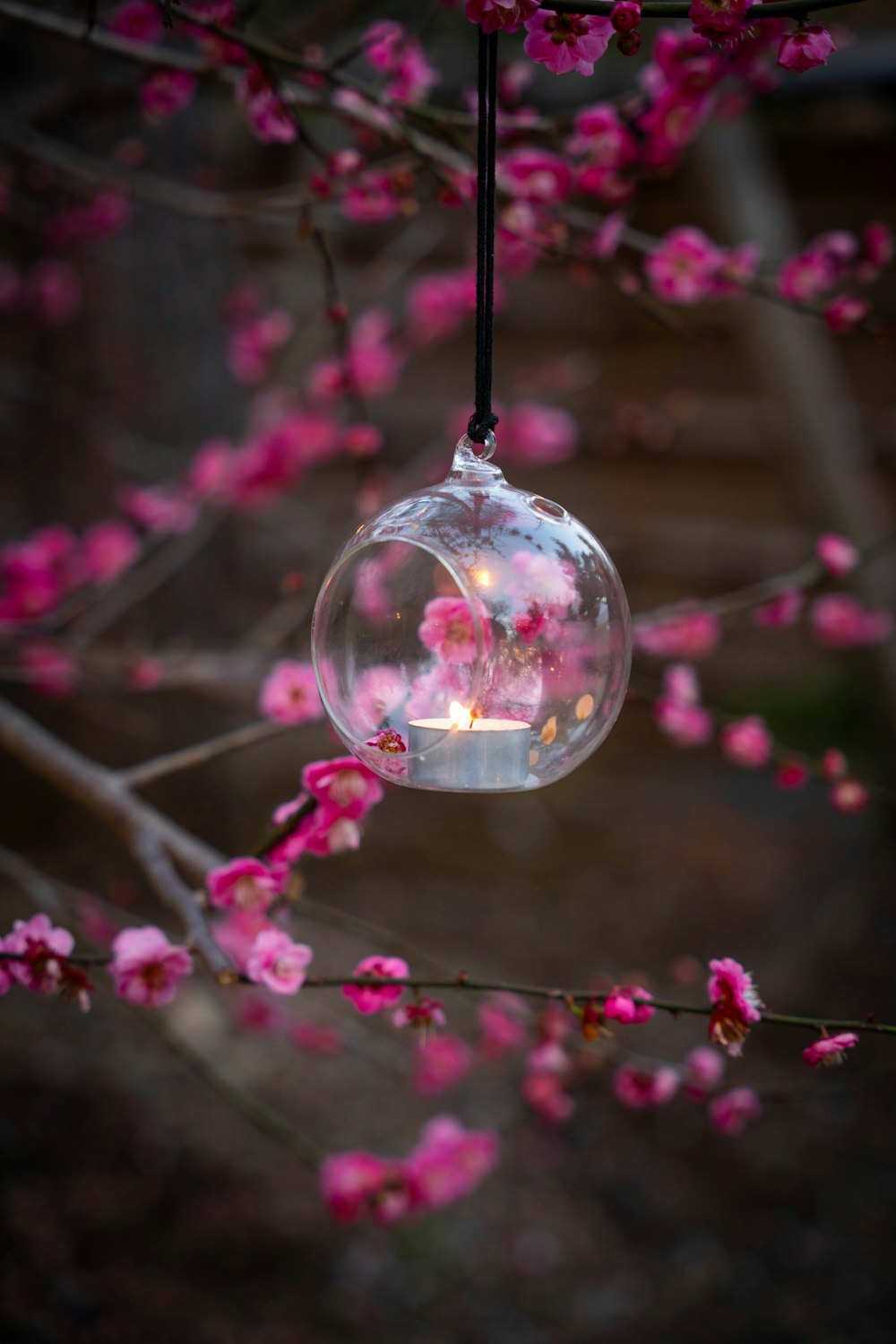 a glass ball hanging from a tree filled with pink flowers