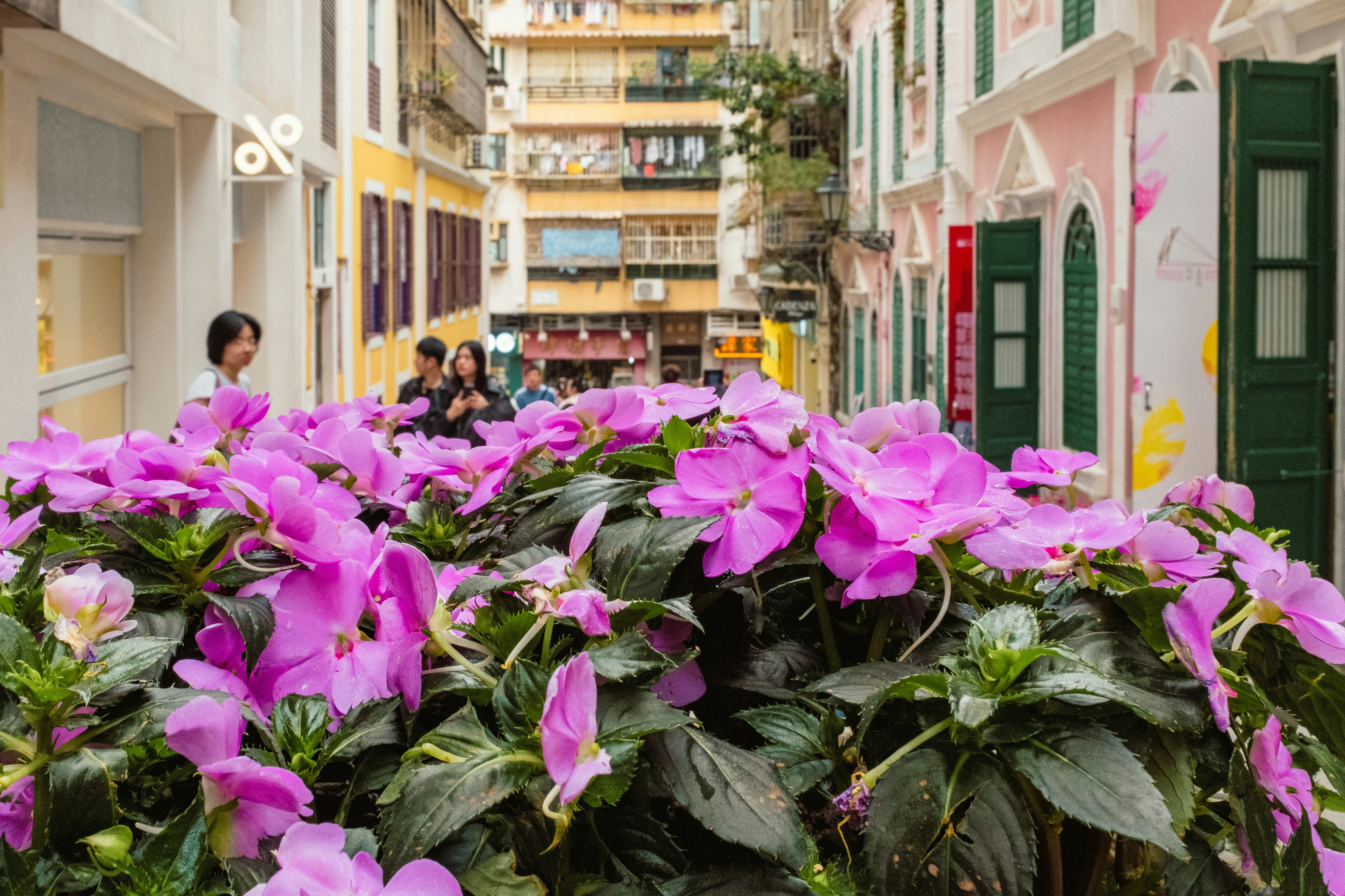 Choose from a curated selection of red wallpapers for your mobile and desktop screens. Always free on Unsplash.