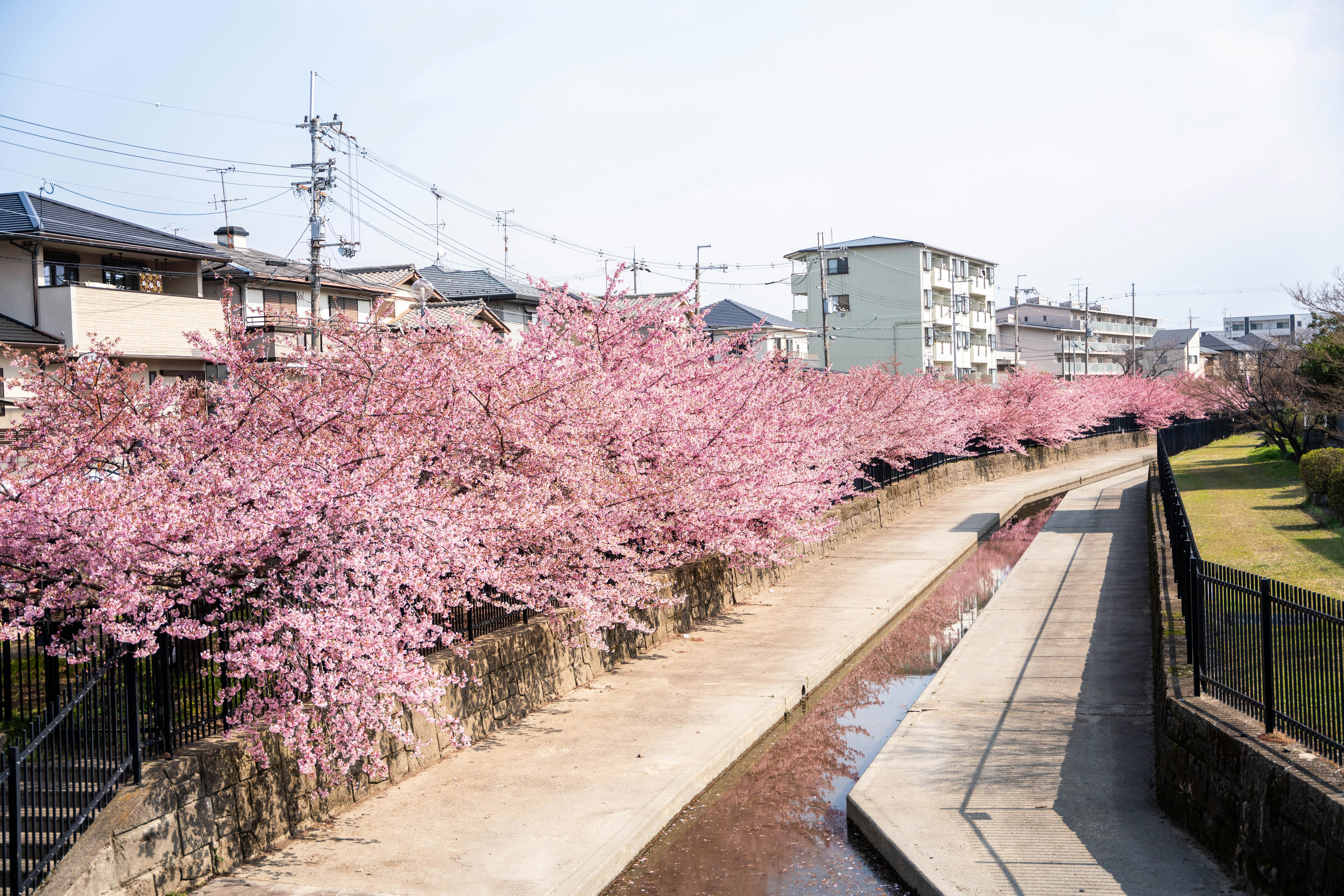 Photo by davidemrich