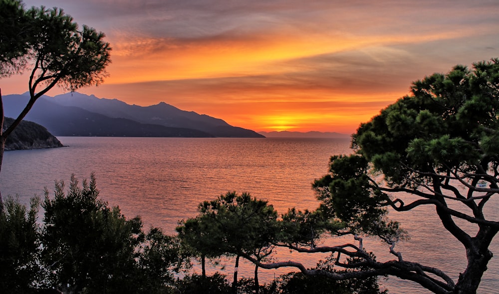 a sunset over a body of water with trees in the foreground