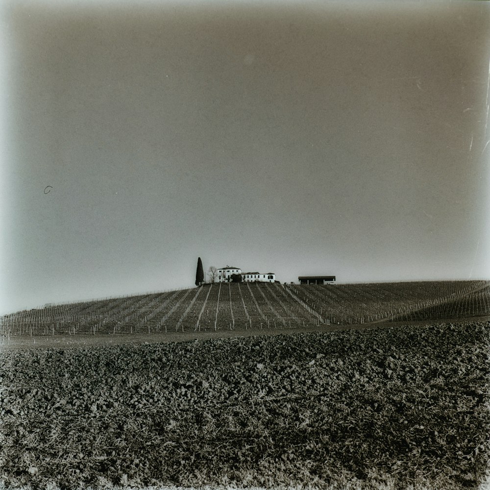 a black and white photo of a farm
