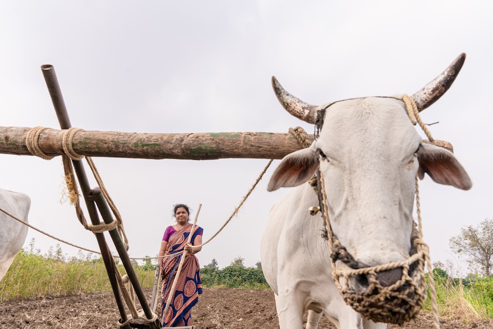 a woman standing next to a white cow
