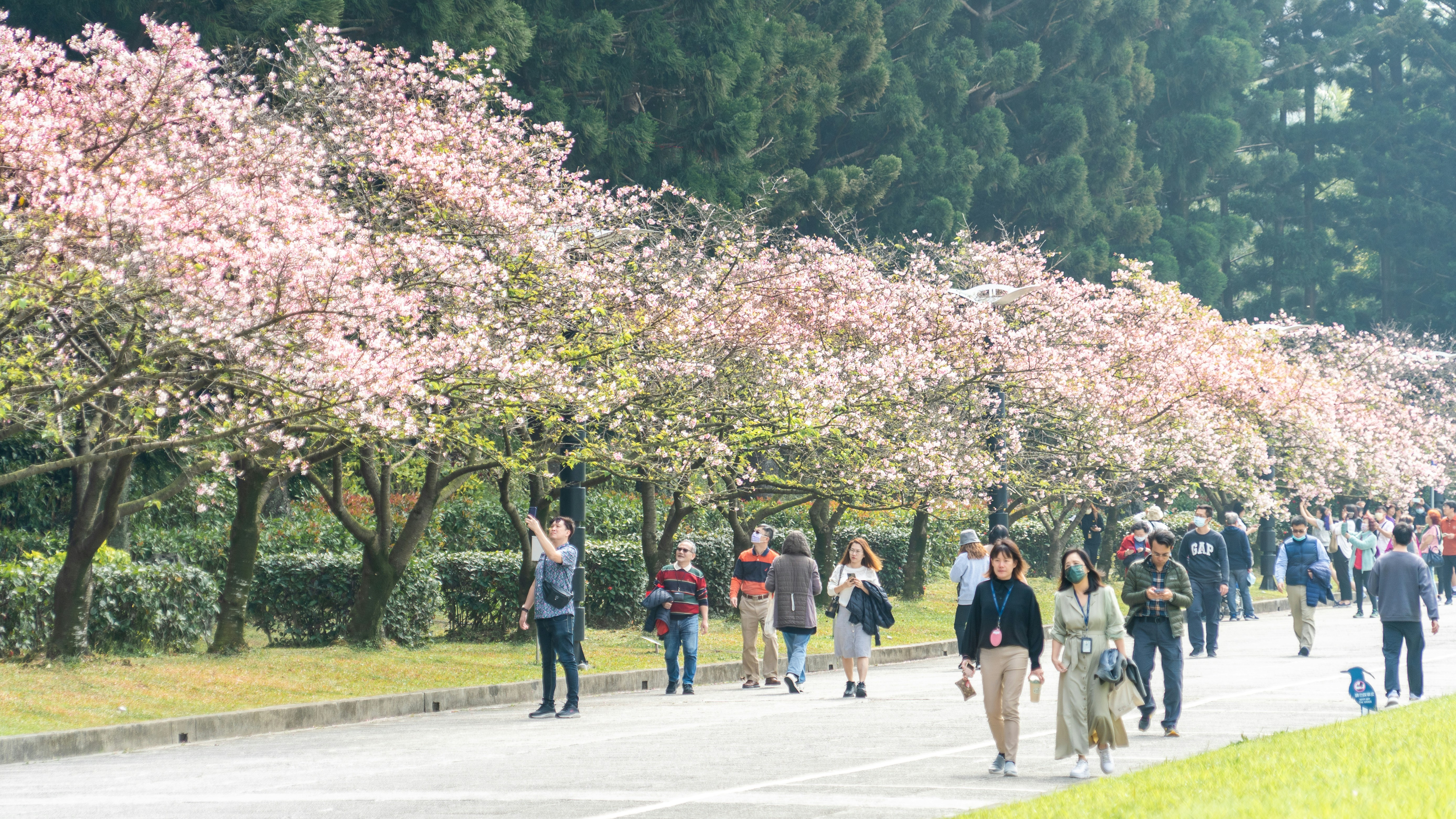 7 Weekend Activities to Elevate FSU Campus Life