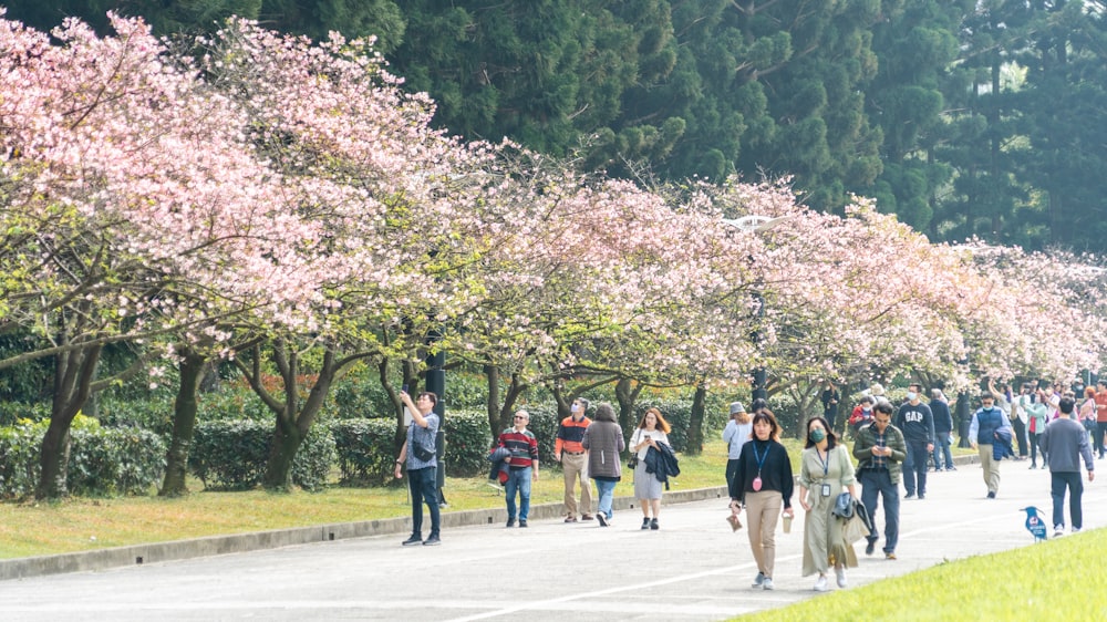 a large group of people walking down a sidewalk