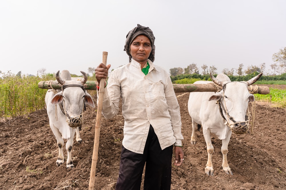 a woman standing in a field with two cows