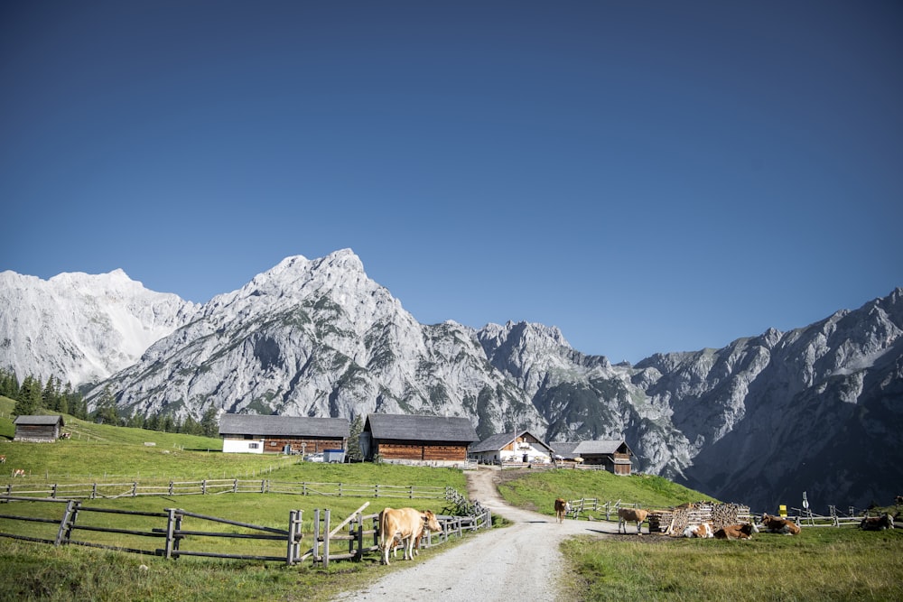 a farm with mountains in the background