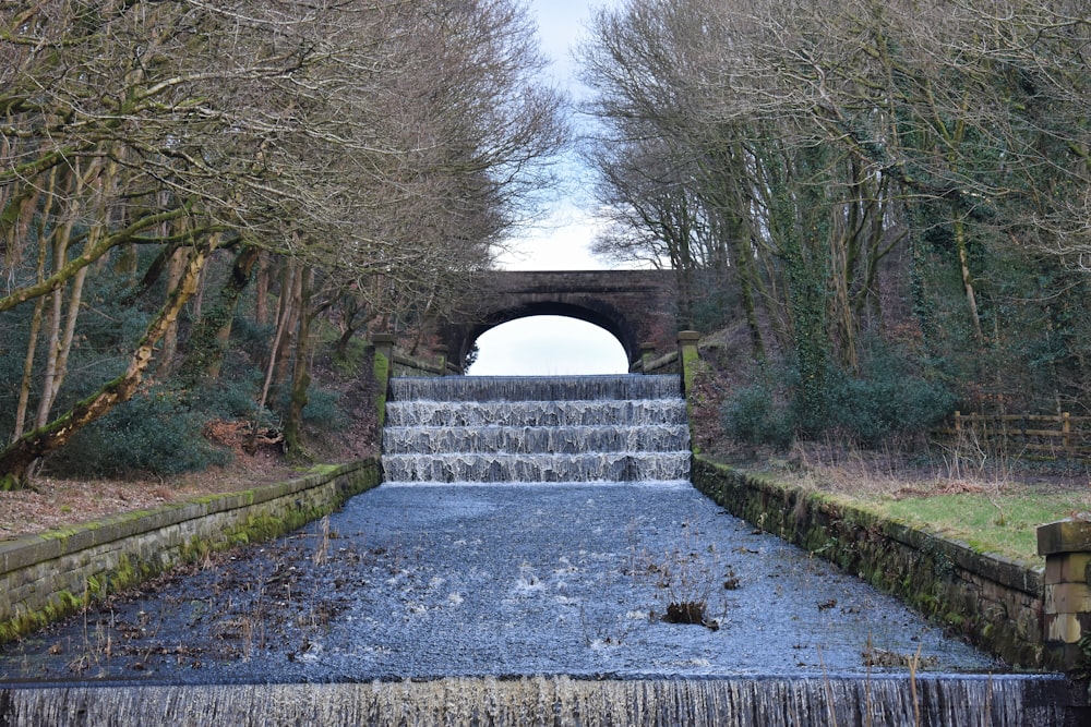 a small waterfall in the middle of a forest