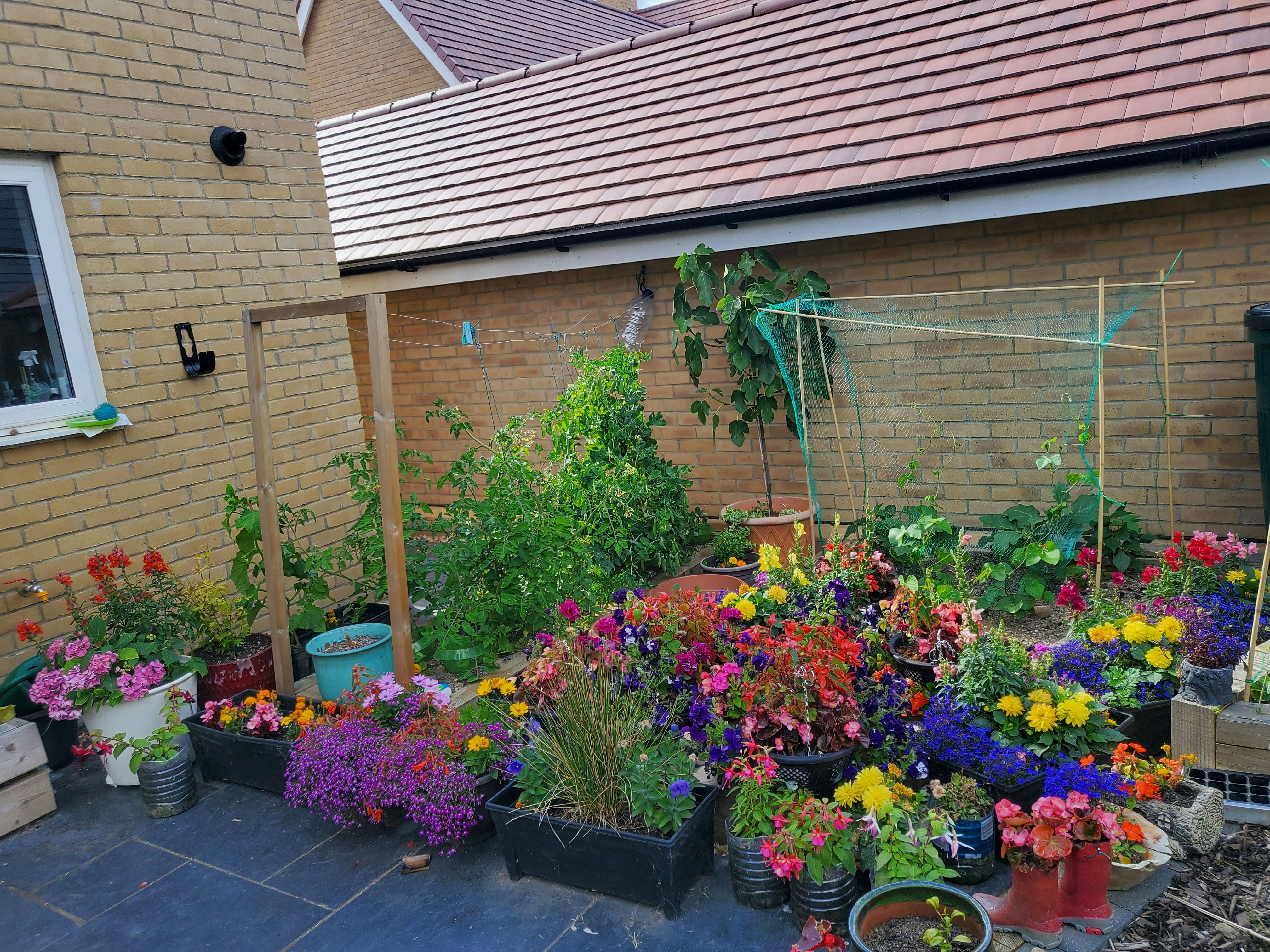 Colorful diverse flower garden with vibrant blooms and healthy green plants in full season