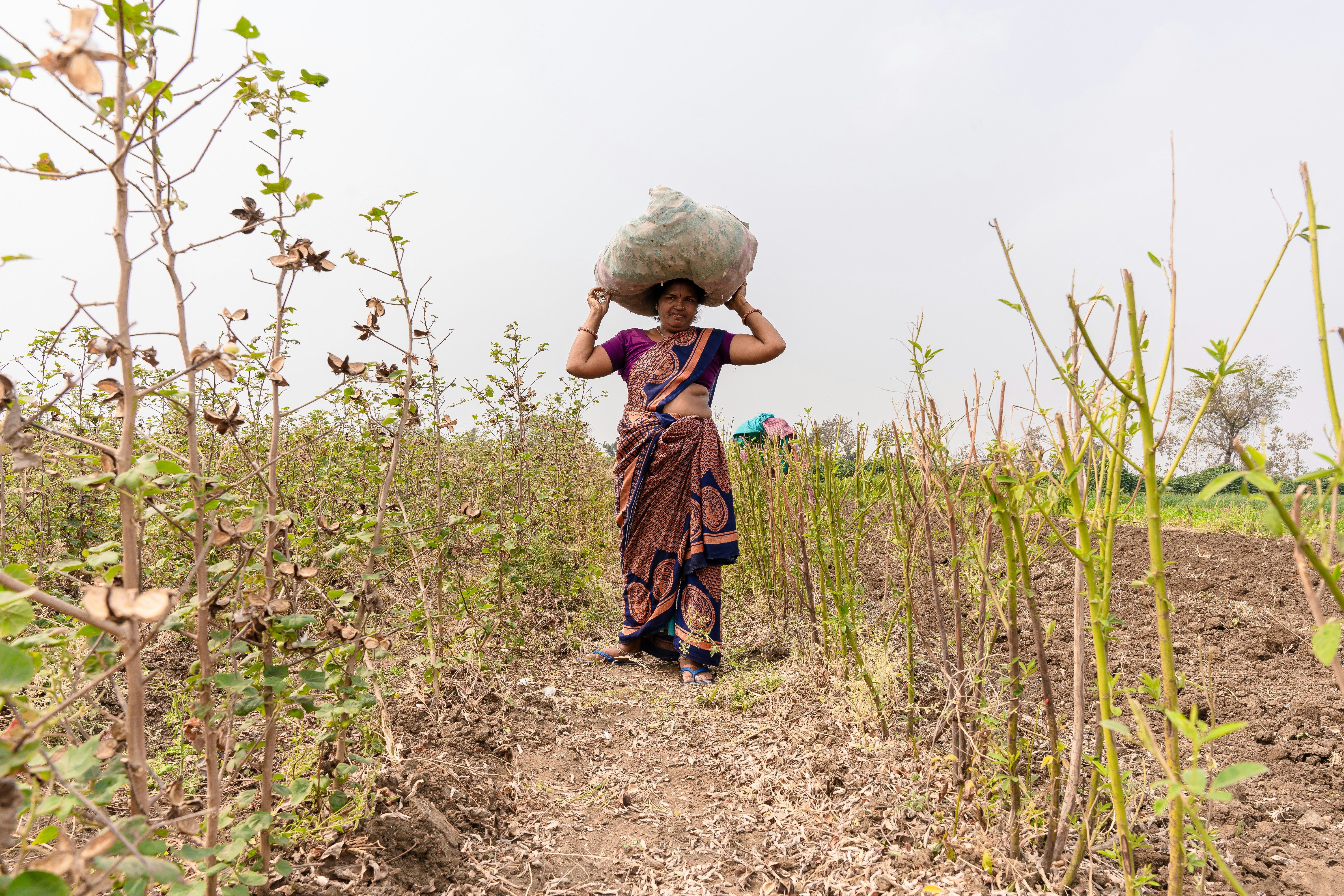 a woman walking through a field carrying a sack on her head