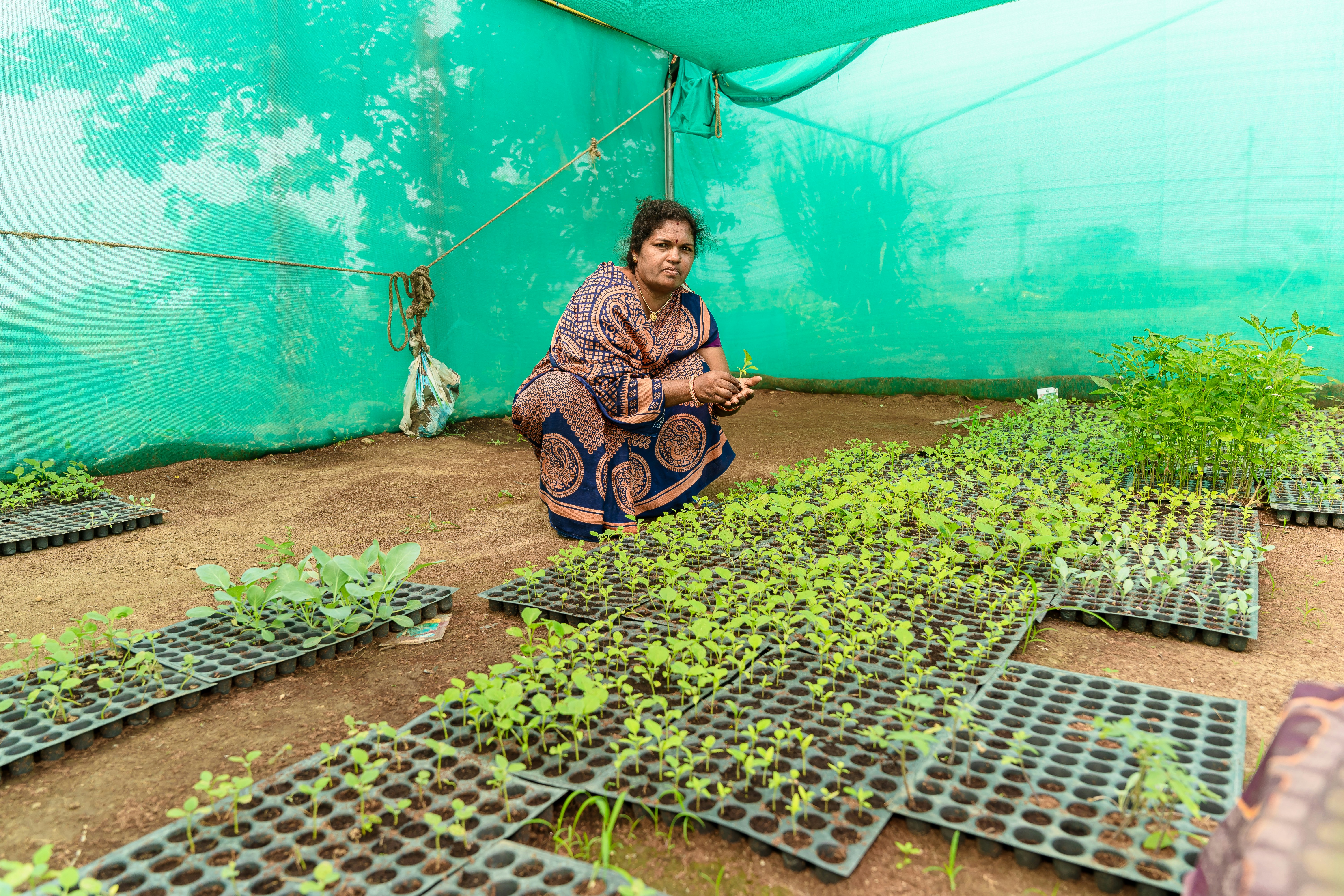 Farmers in India