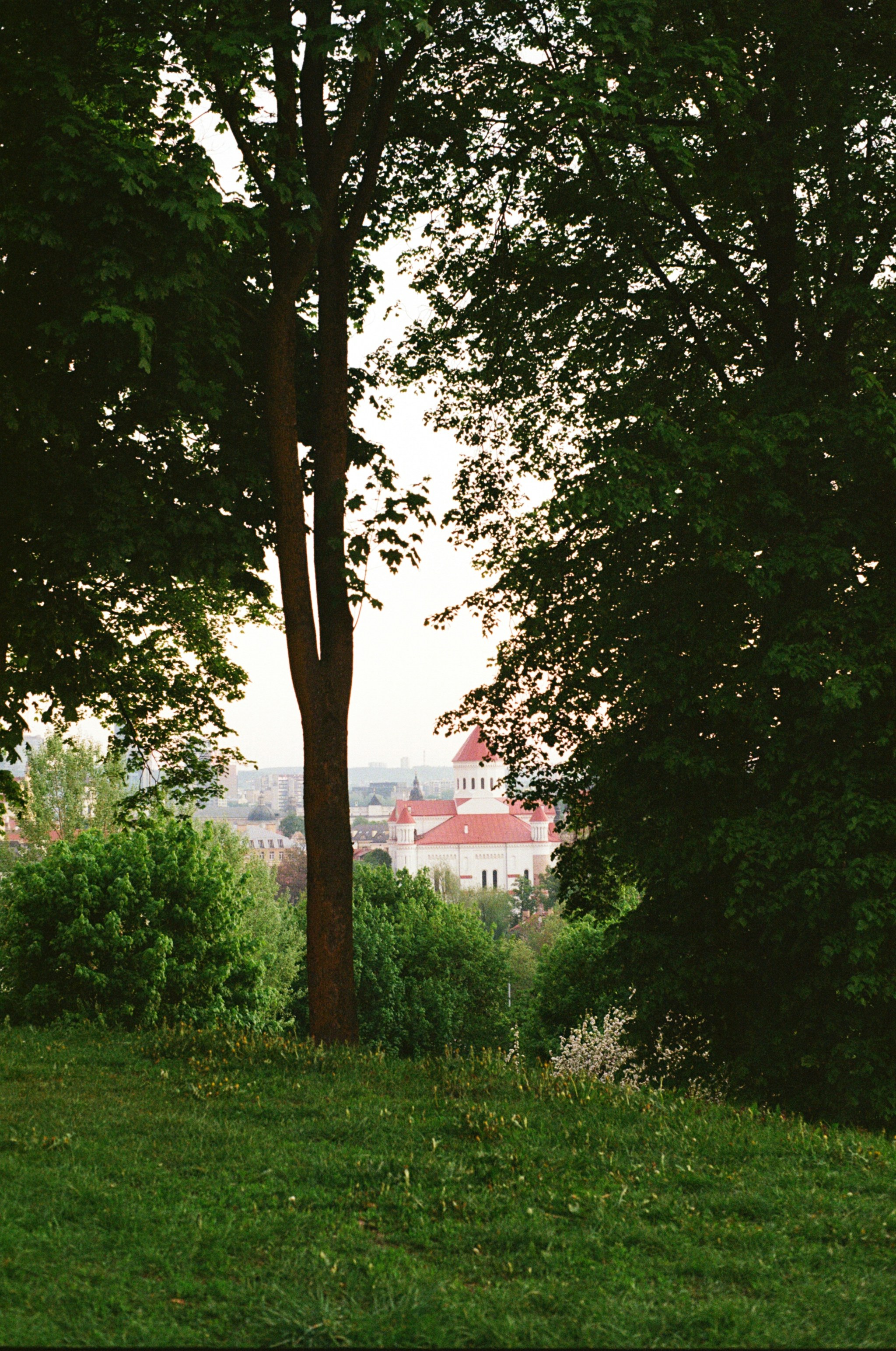 Photo by nadzeya1104