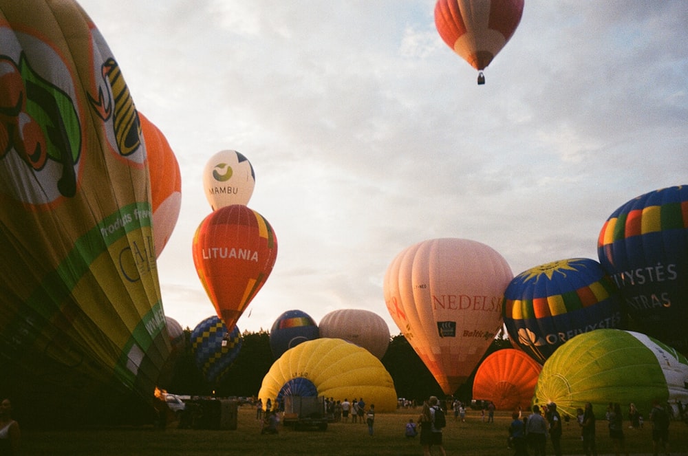 a large number of hot air balloons in the sky