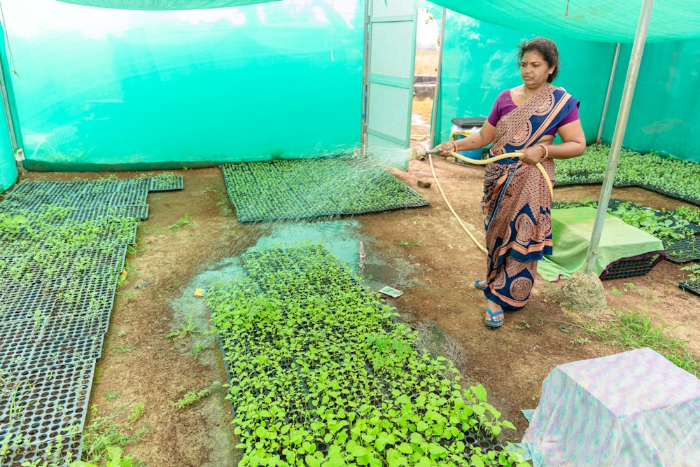 a woman watering plants in a greenhouse