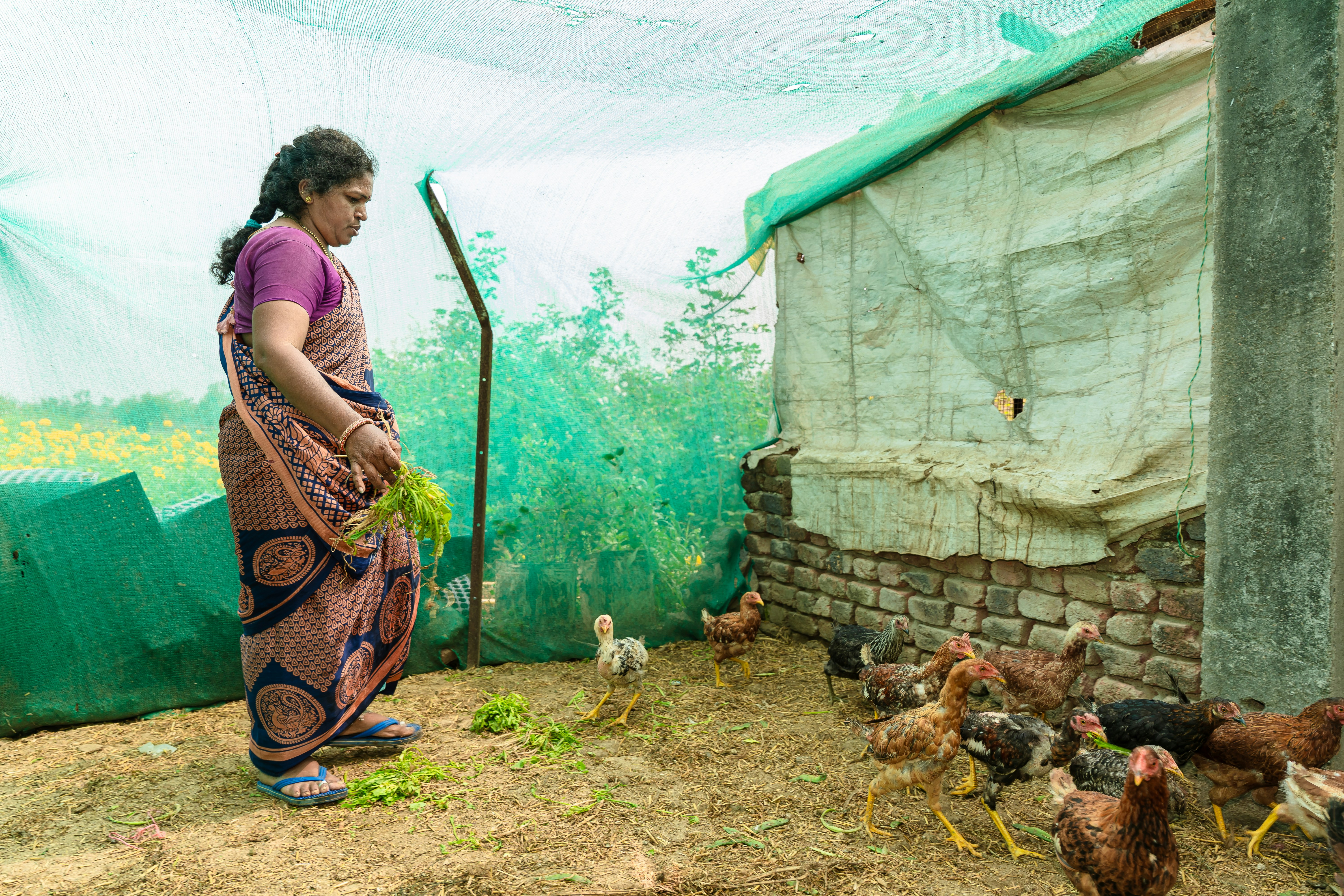 a woman standing in front of a bunch of chickens