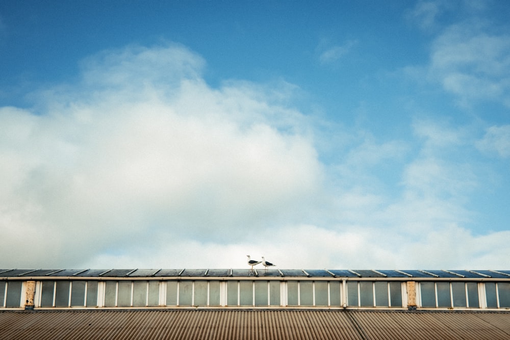 a bird sitting on the roof of a building