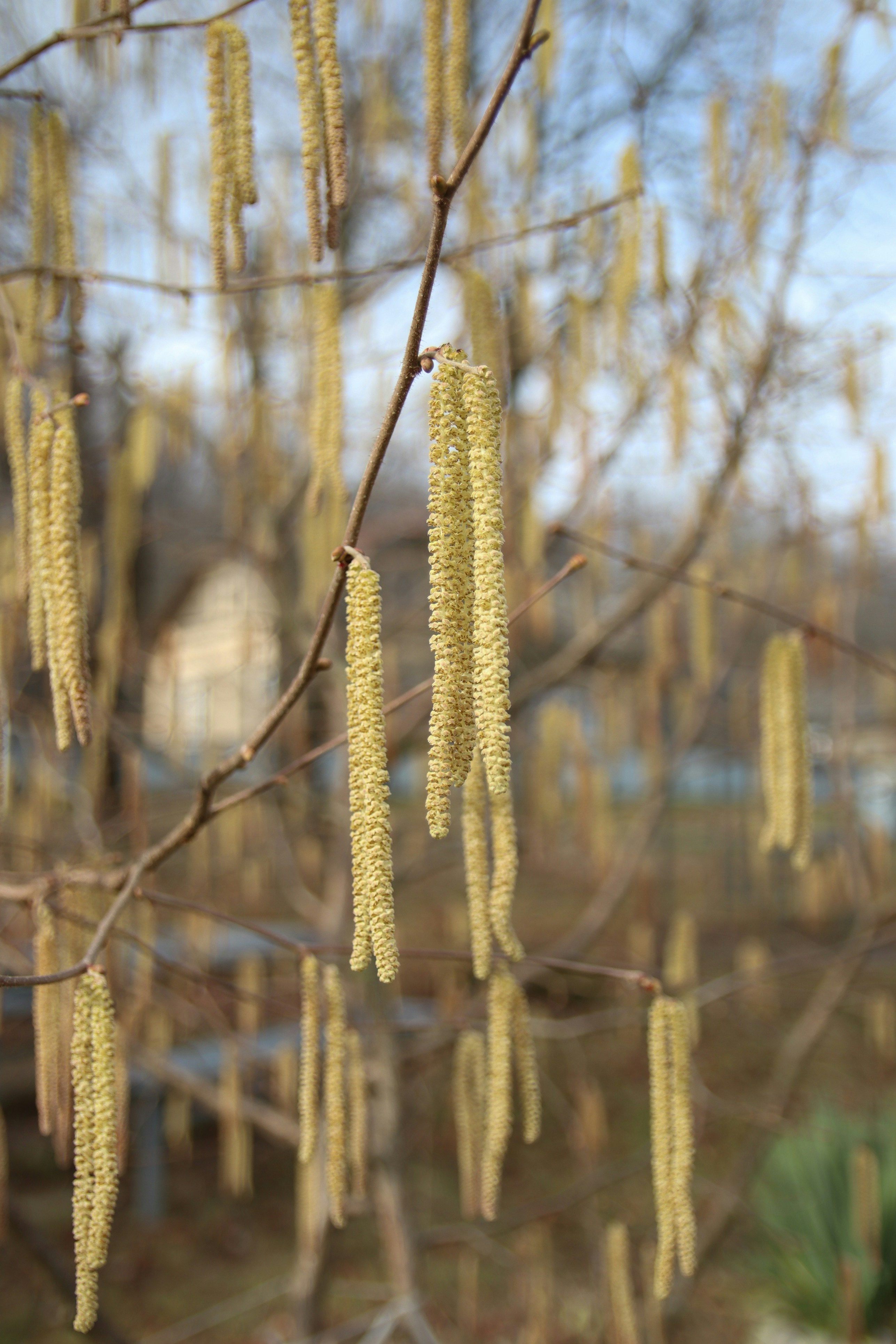 Photo by feeling_hope