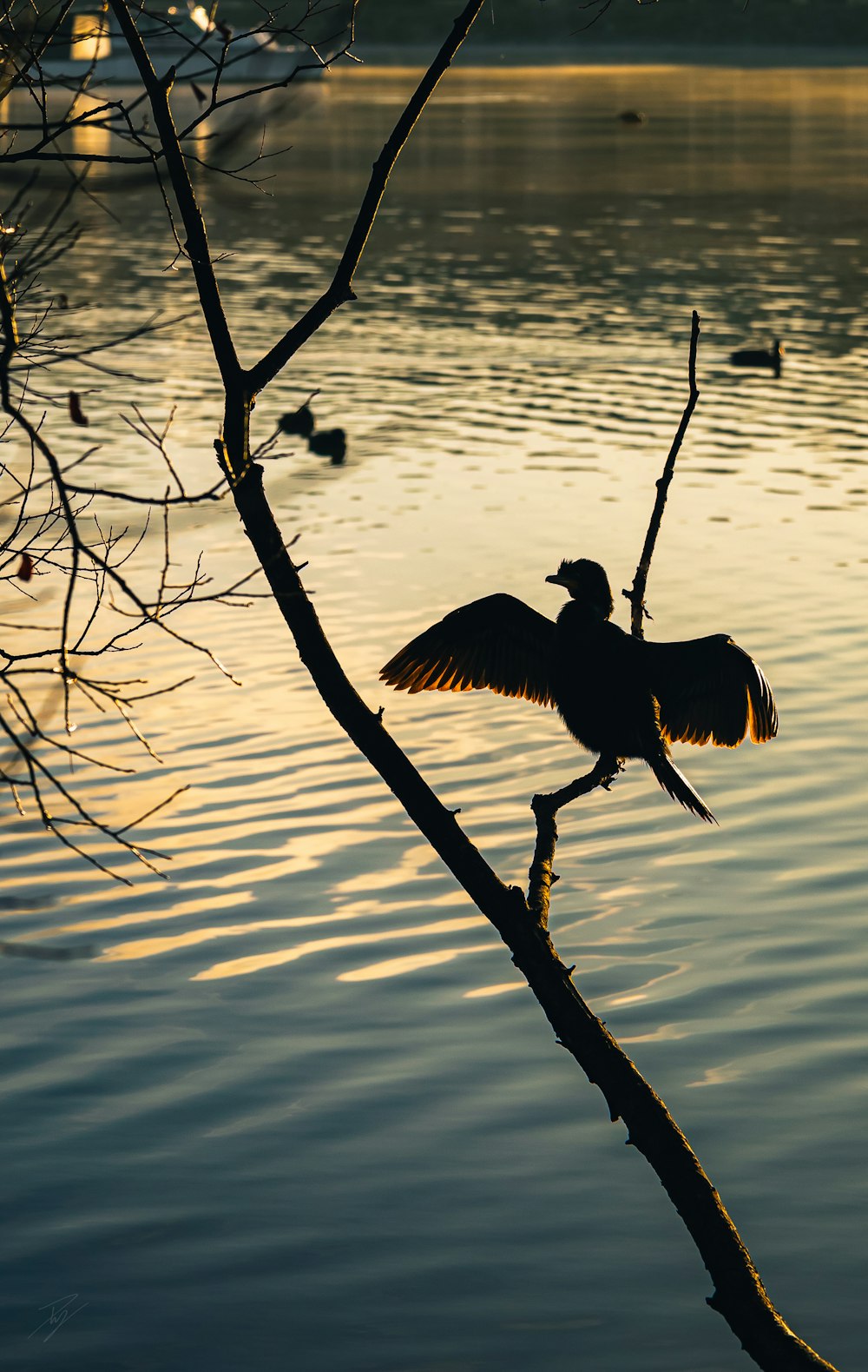 a bird sitting on a tree branch in front of a body of water