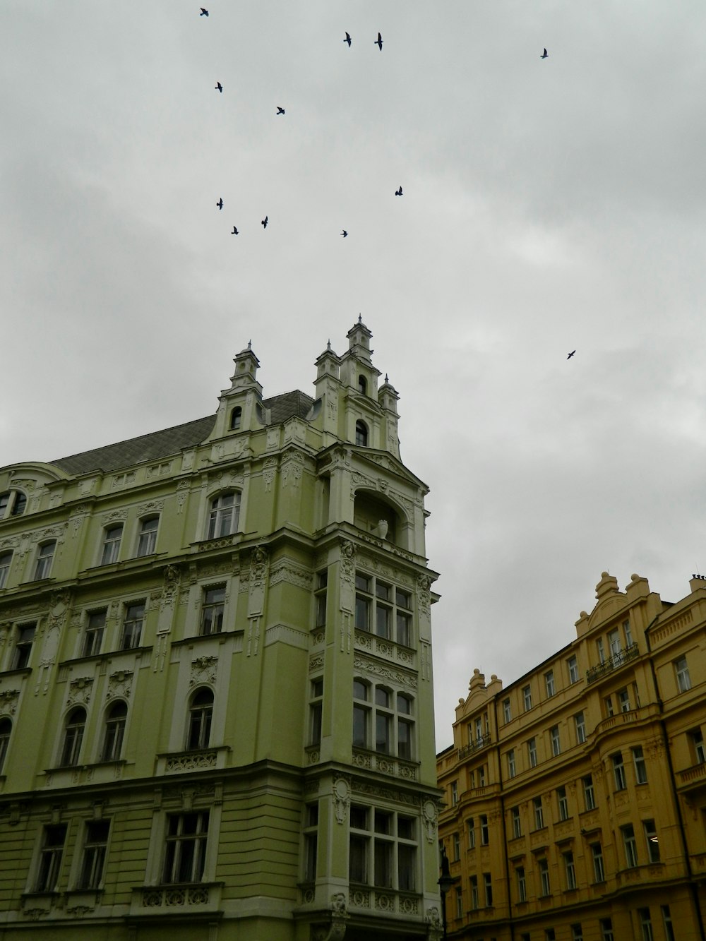 a flock of birds flying over a building