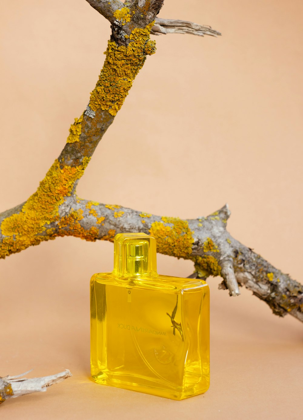 a bottle of perfume sitting on top of a tree branch