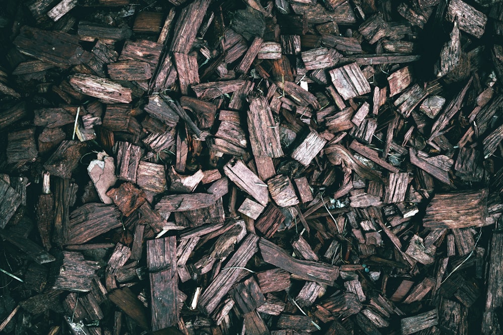 uma pilha de lascas de madeira sentada em cima de uma pilha de madeira