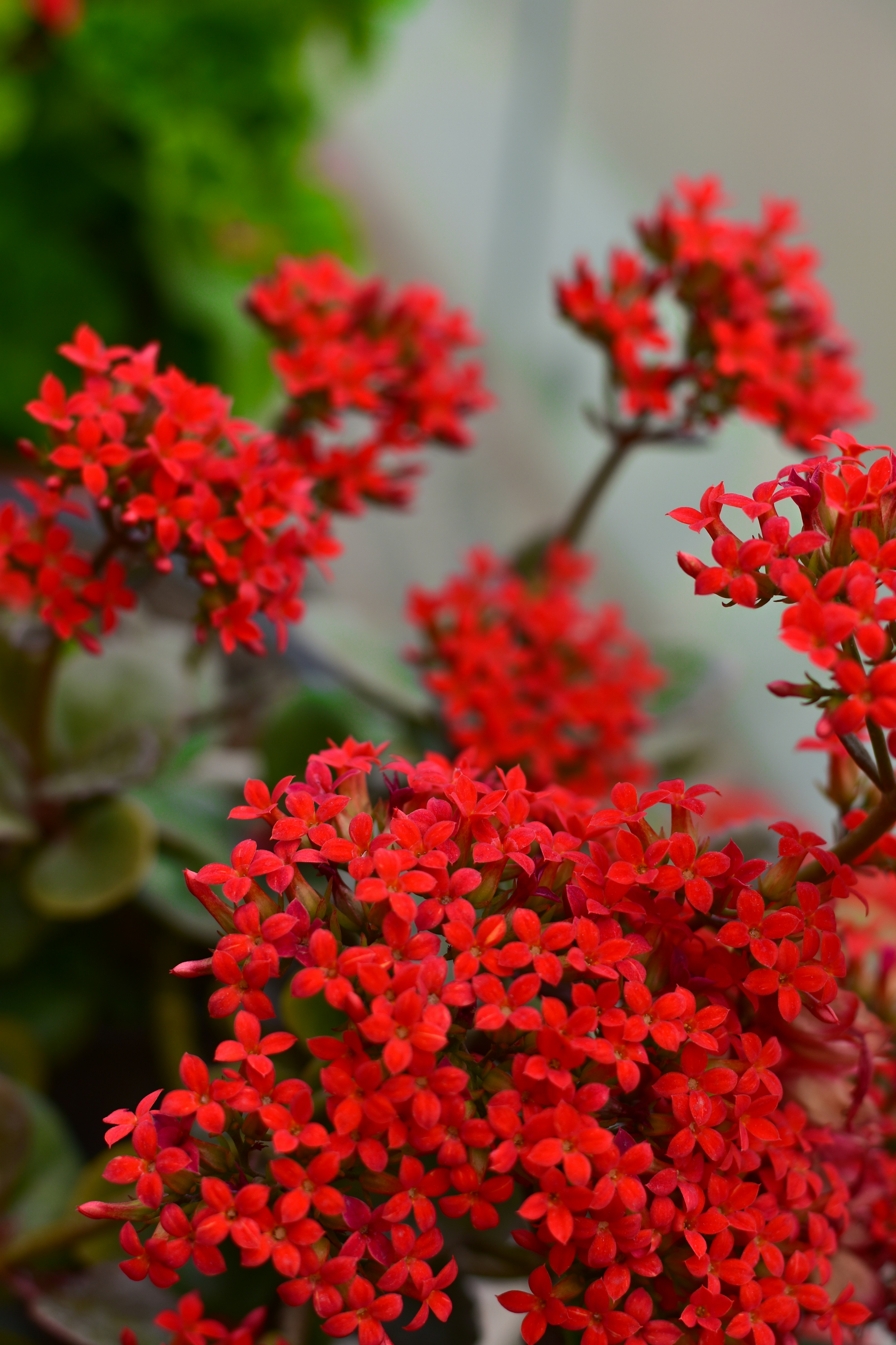 Photo by neelakshi_singh_