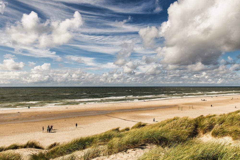 a group of people standing on top of a sandy beach