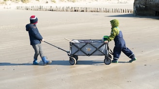 two children pushing a wagon on the beach