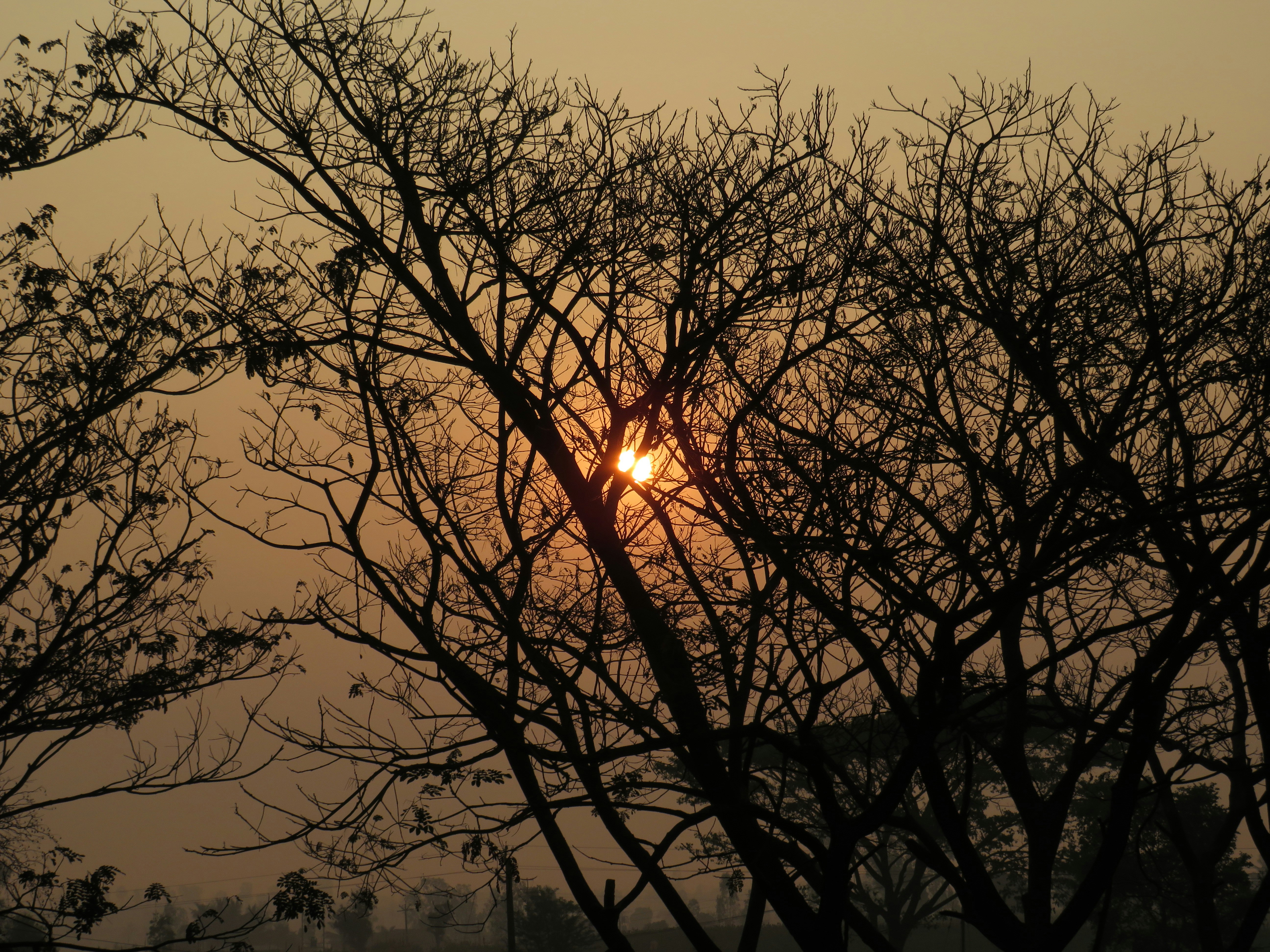 Photo by mangesh_0708