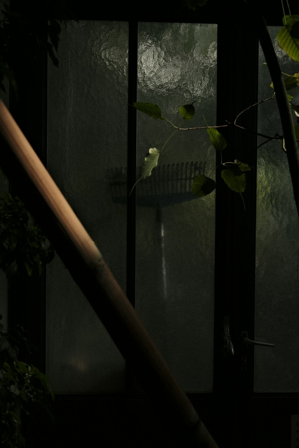 a window with a view of a leafy tree outside